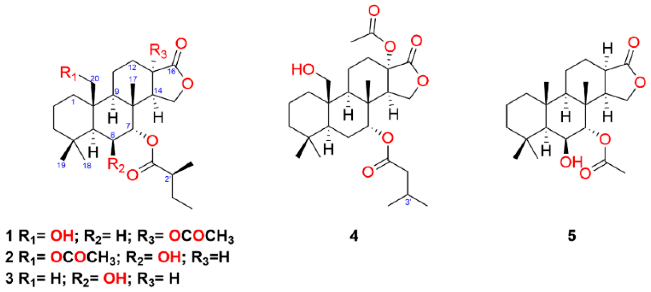 Marinedrugs 19 00680 g001 550