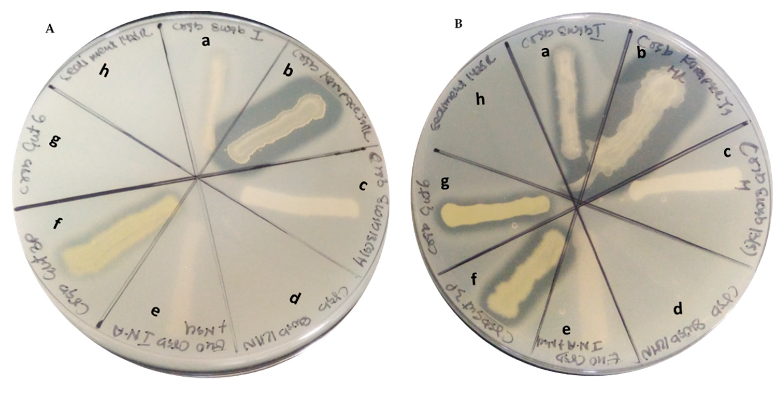 Marinedrugs 19 00681 g003