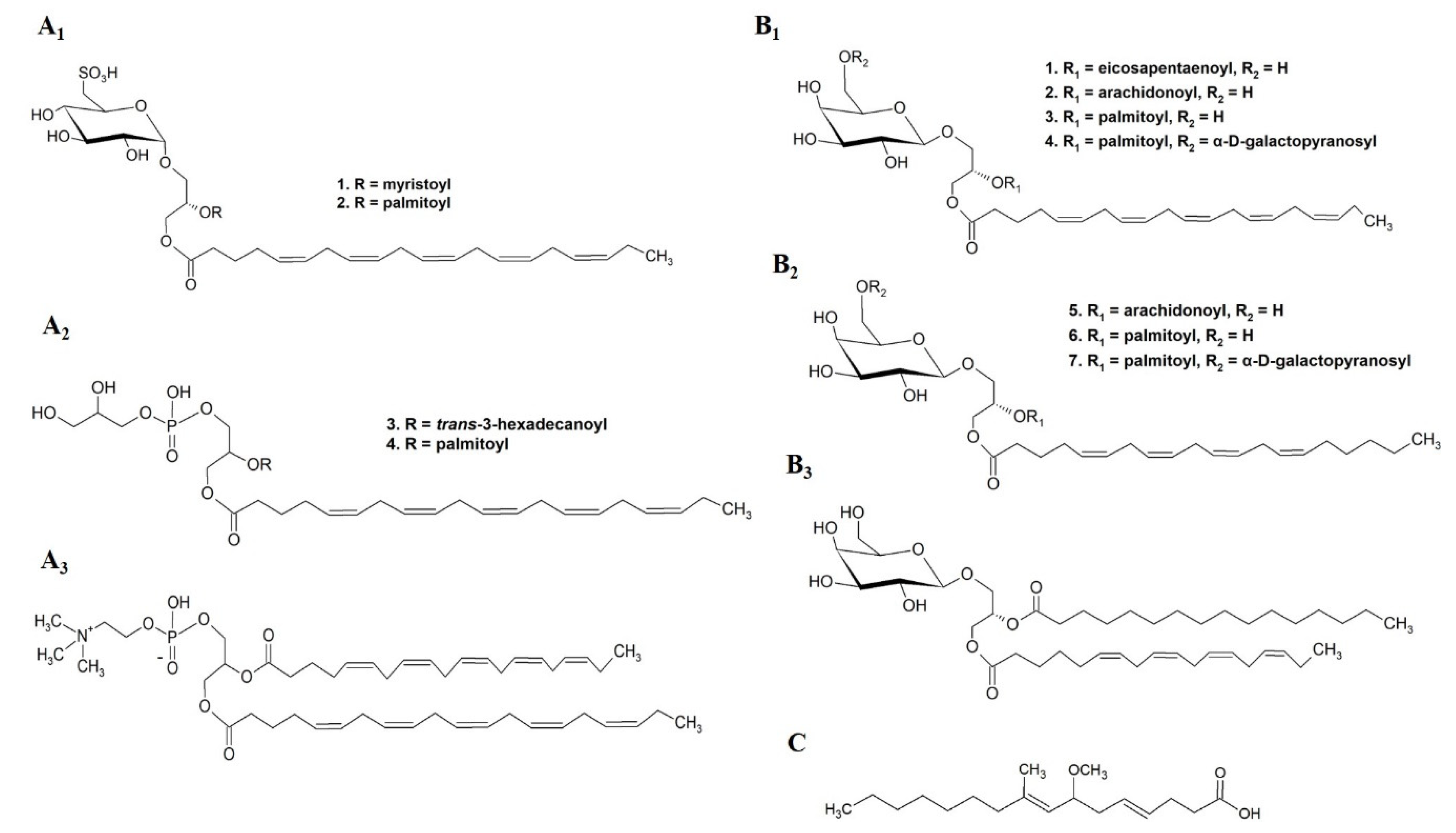Marinedrugs 19 00686 g010