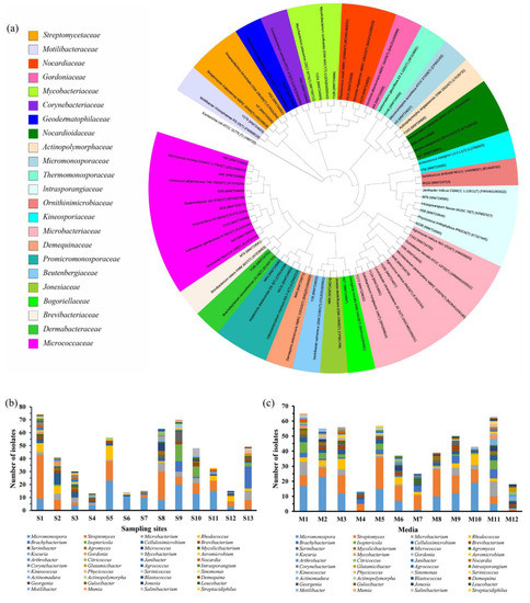 Metabolomics Tools Assisting Classic Screening Methods in