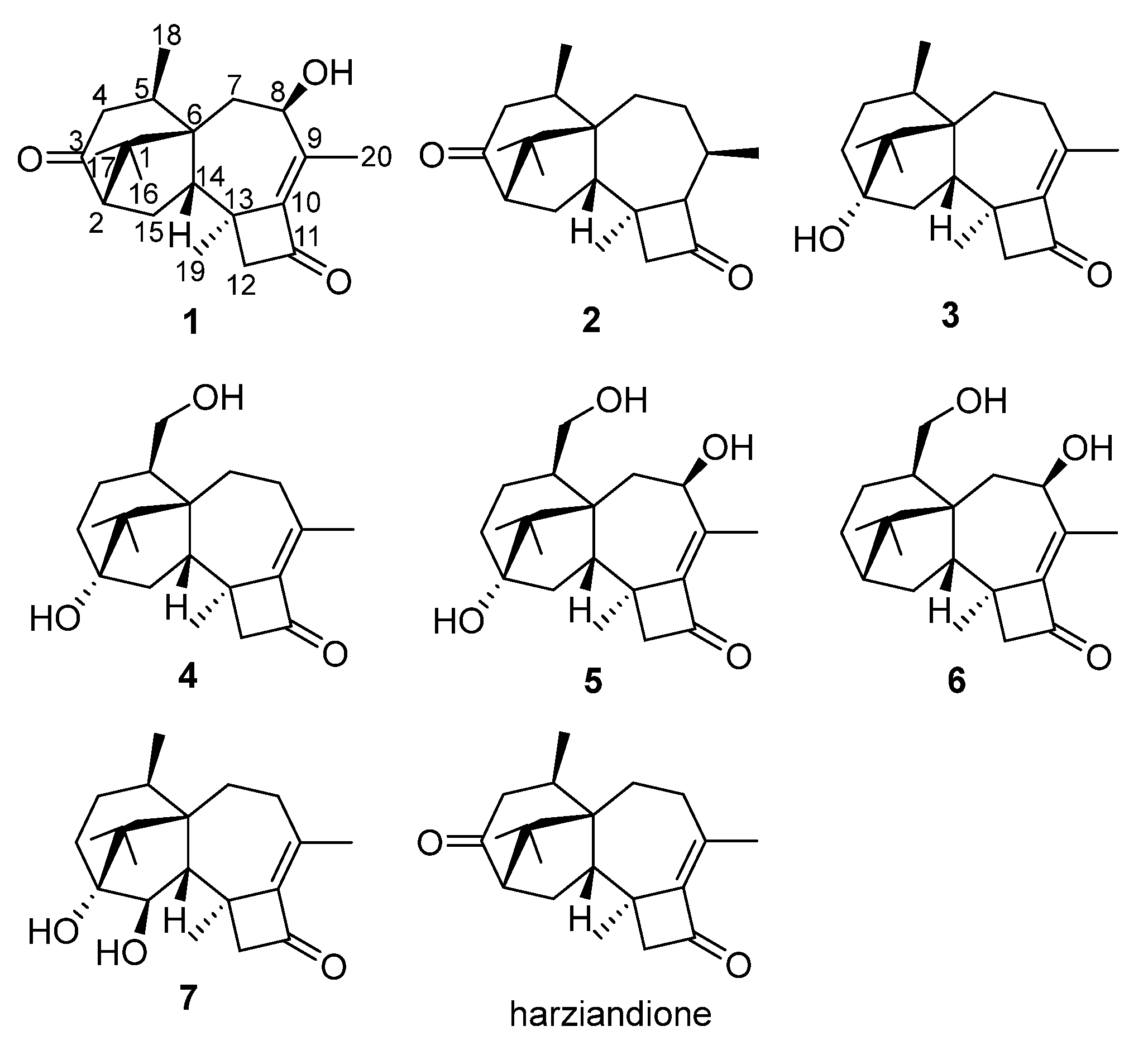 Marinedrugs 19 00689 g001
