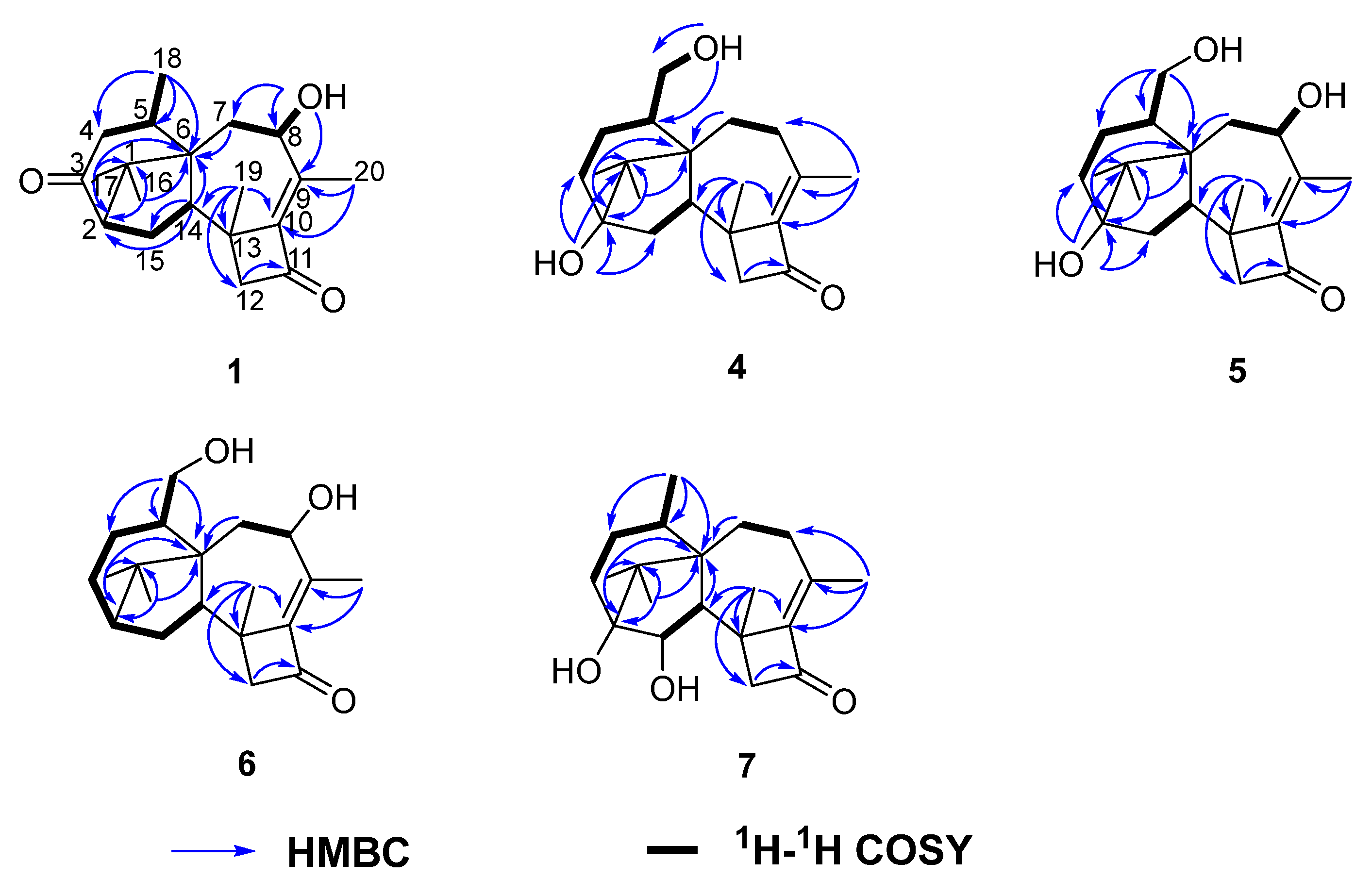 Marinedrugs 19 00689 g002