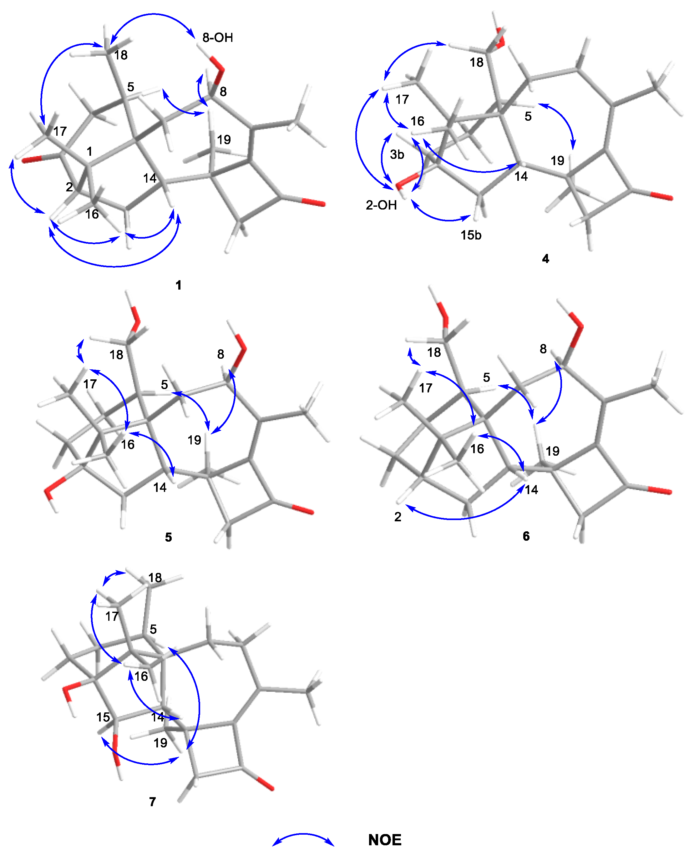 Marinedrugs 19 00689 g003