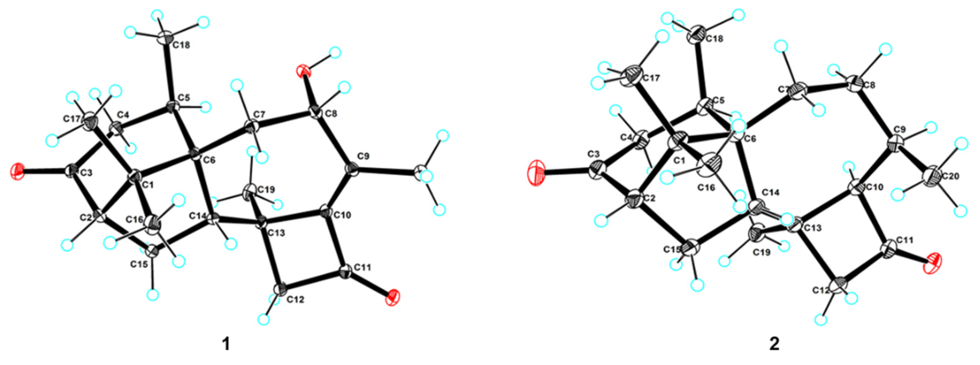 Marinedrugs 19 00689 g005