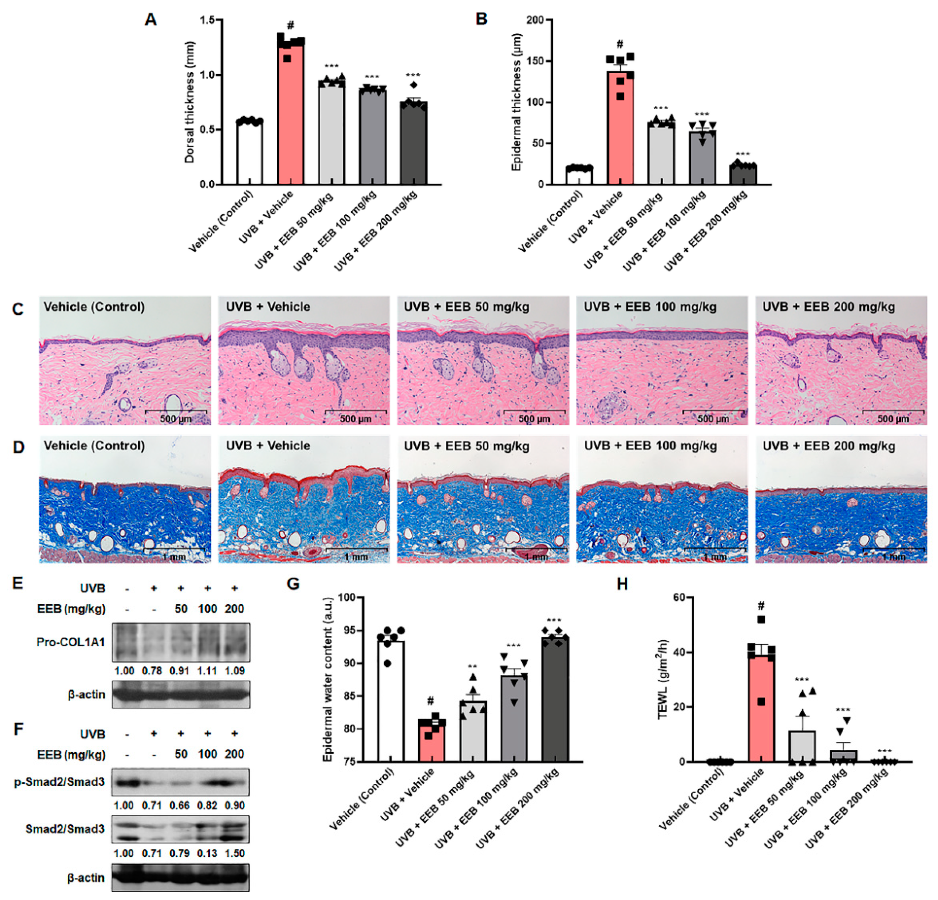 Marinedrugs 19 00693 g008