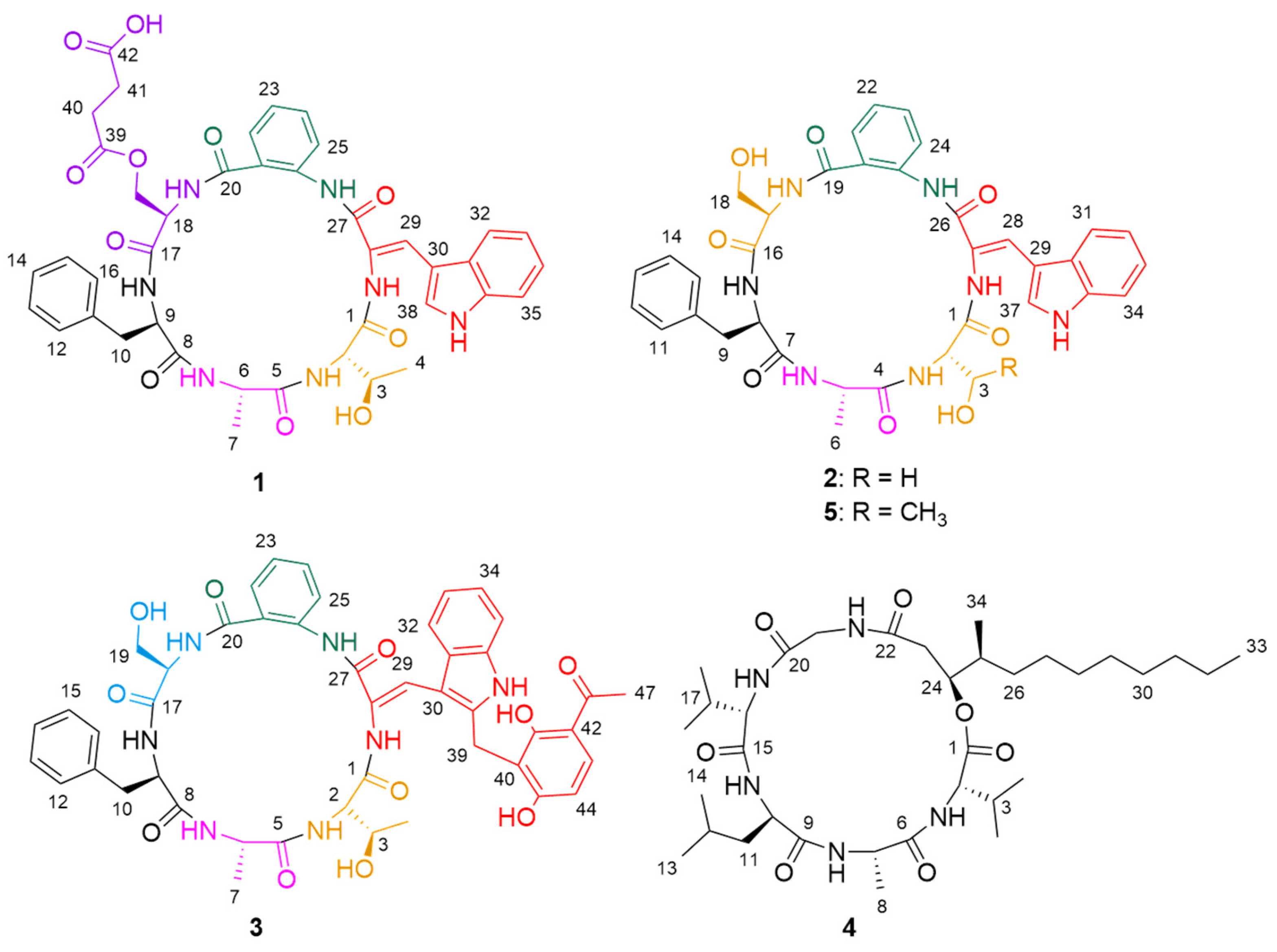 Marinedrugs 19 00701 g001 Marinedrugs 19 00701 g001