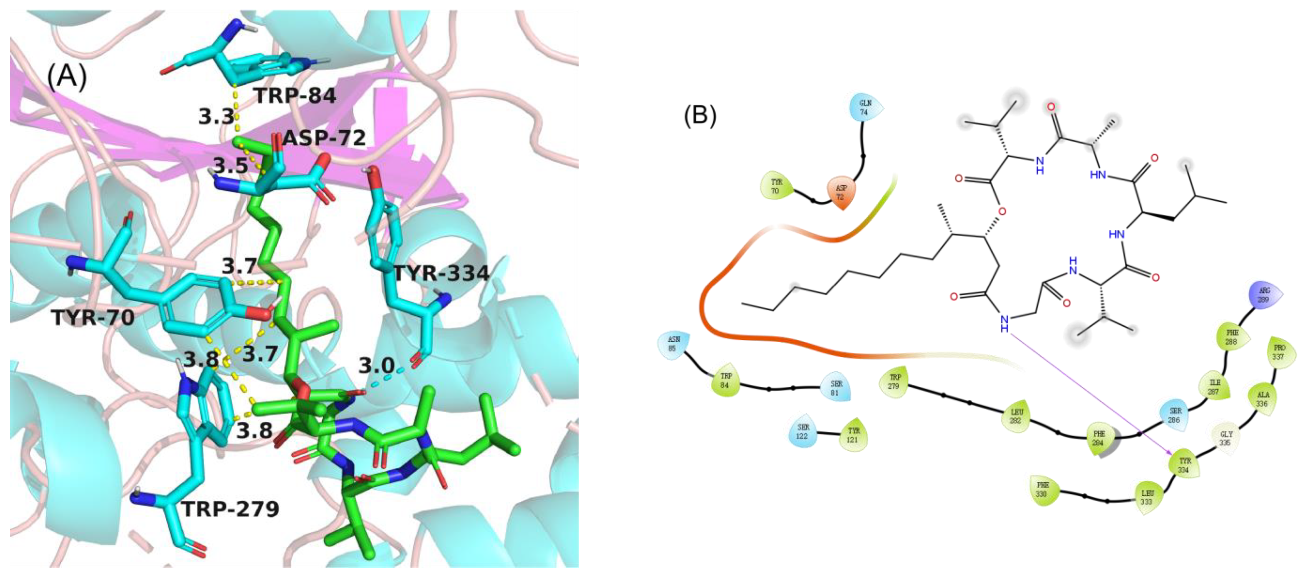 Marinedrugs 19 00701 g006 Marinedrugs 19 00701 g006