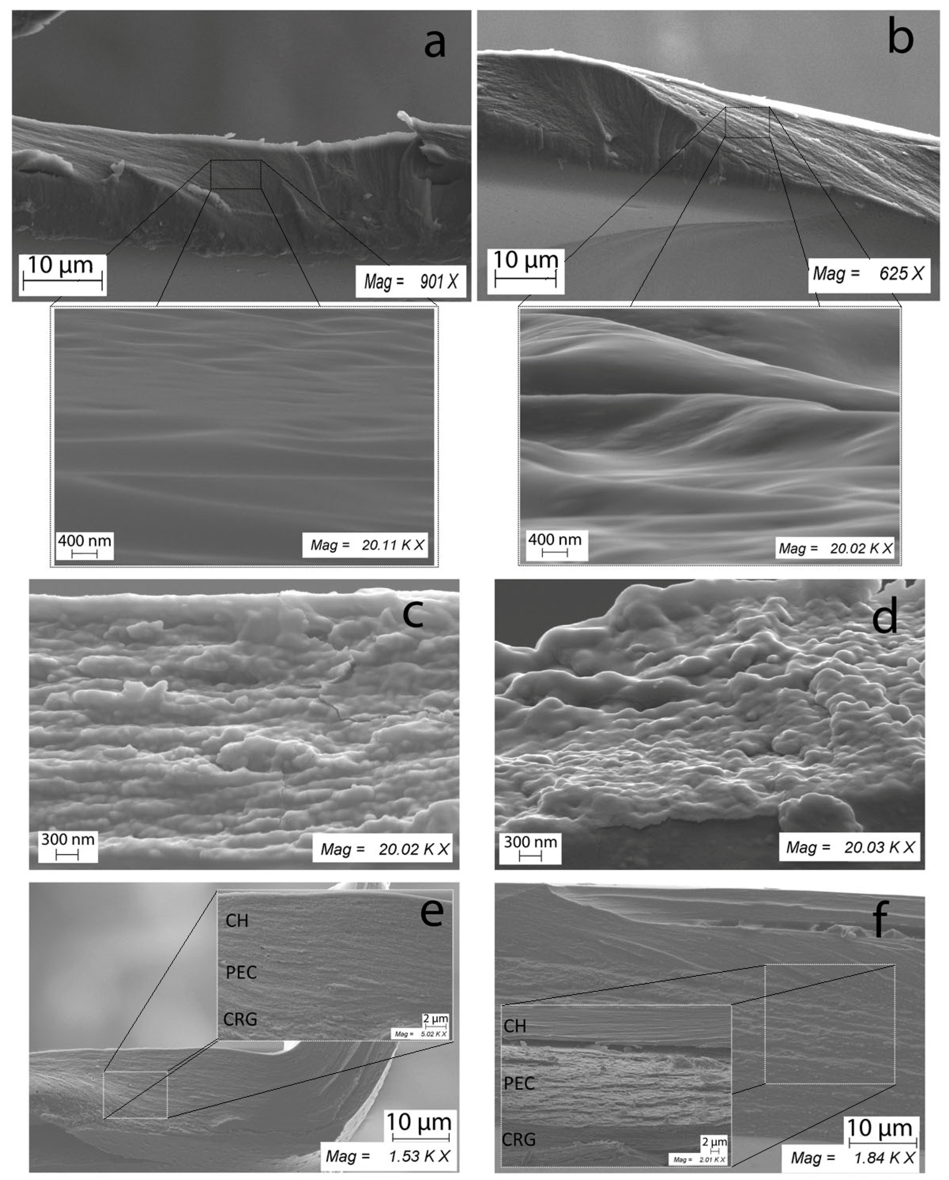 Marinedrugs 19 00704 g005