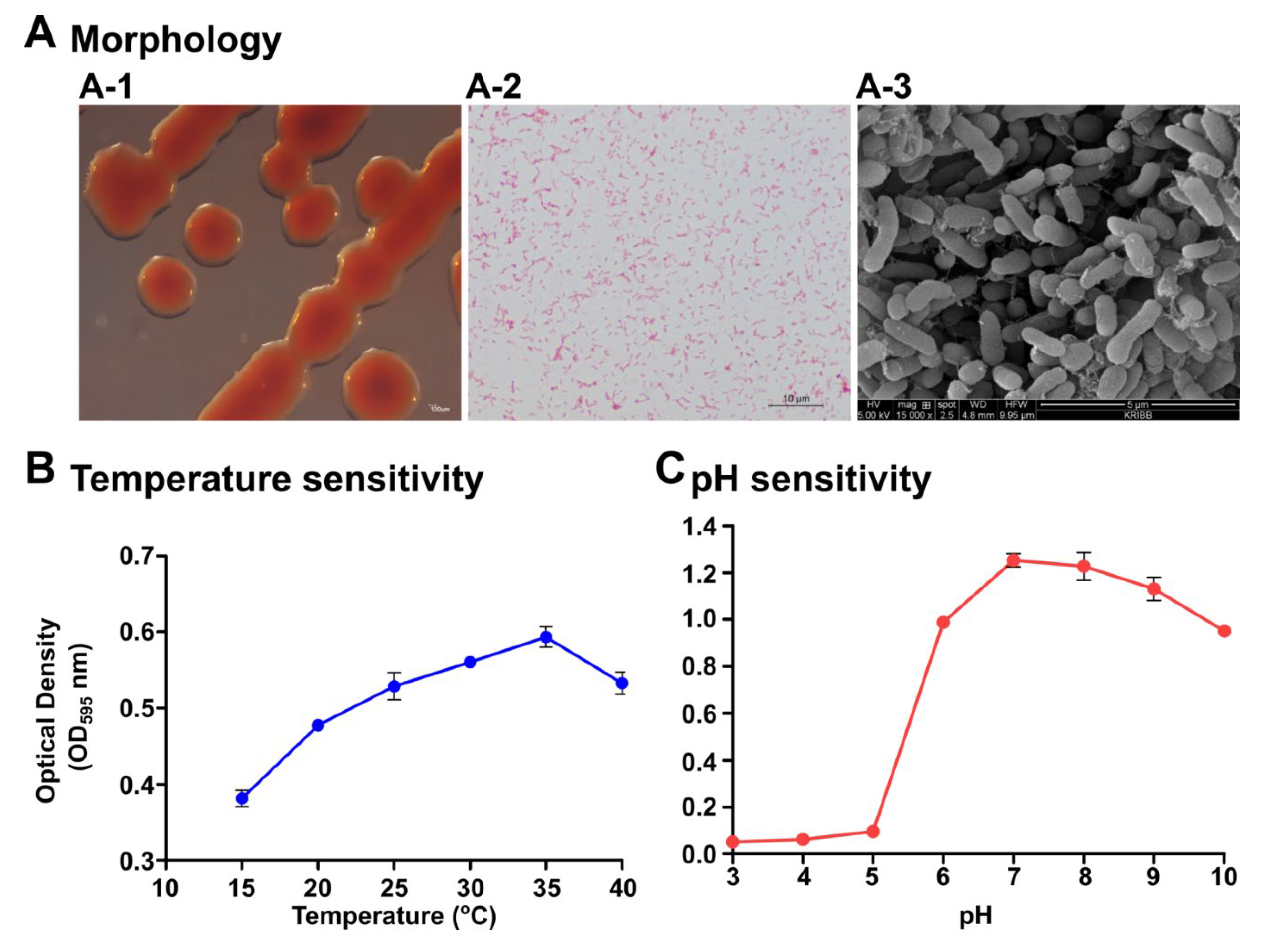 Marinedrugs 19 00707 g001