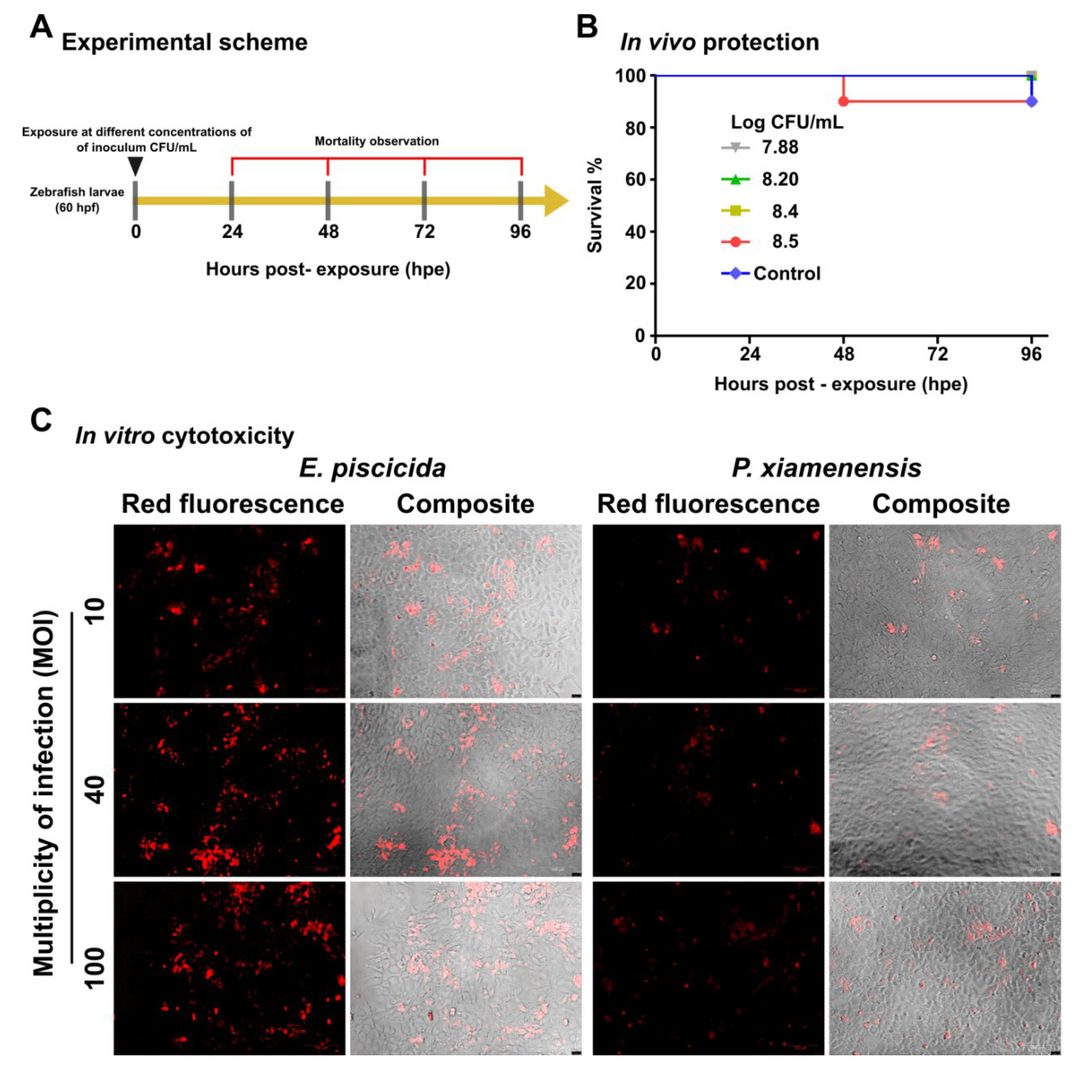 Marinedrugs 19 00707 g002