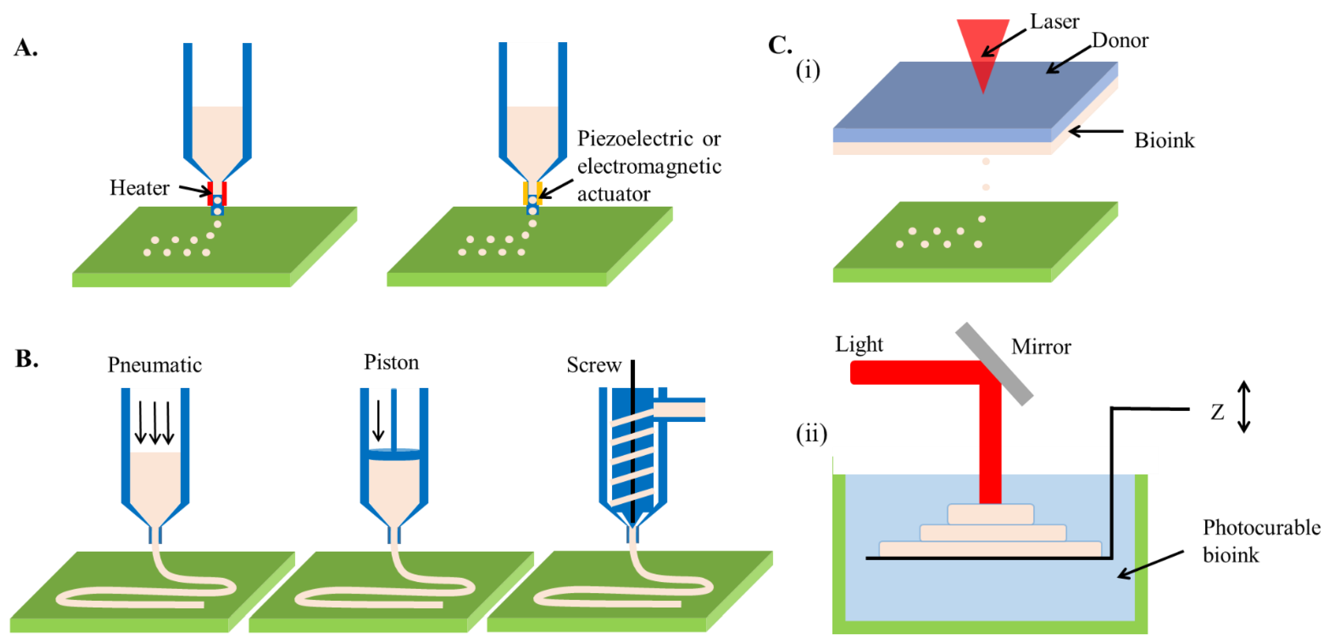 Marinedrugs 19 00708 g002 550