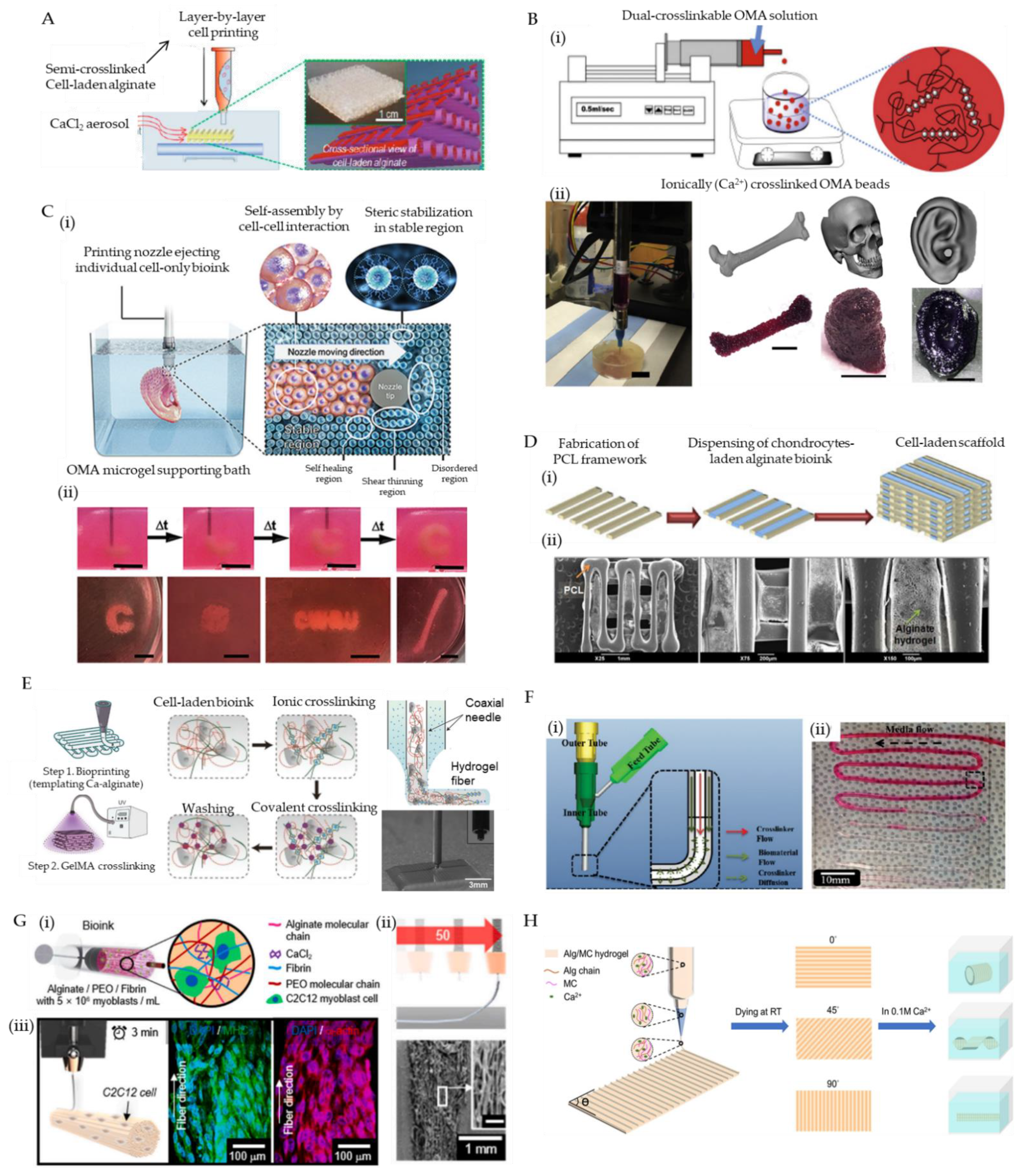 Marinedrugs 19 00708 g003 550