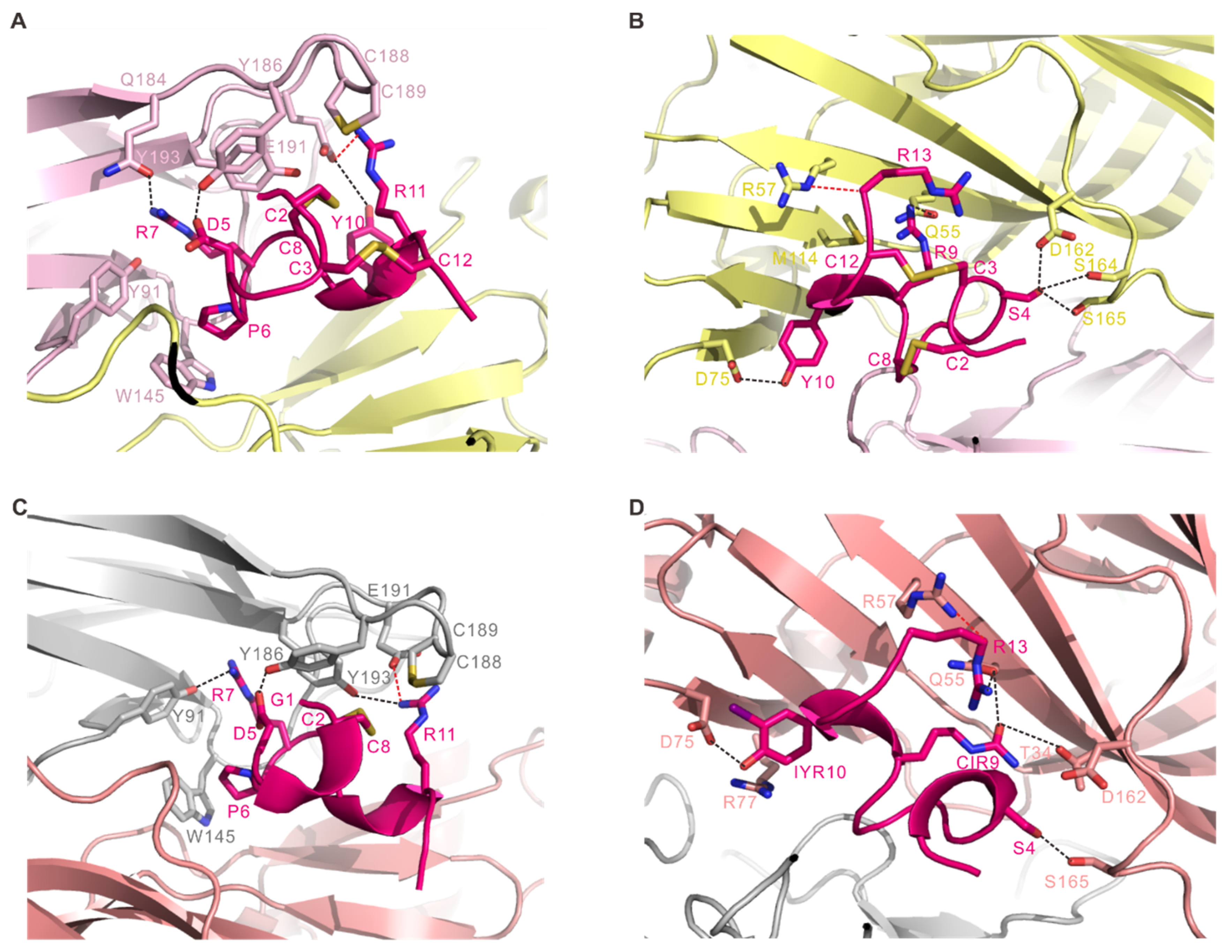 Marinedrugs 19 00709 g003