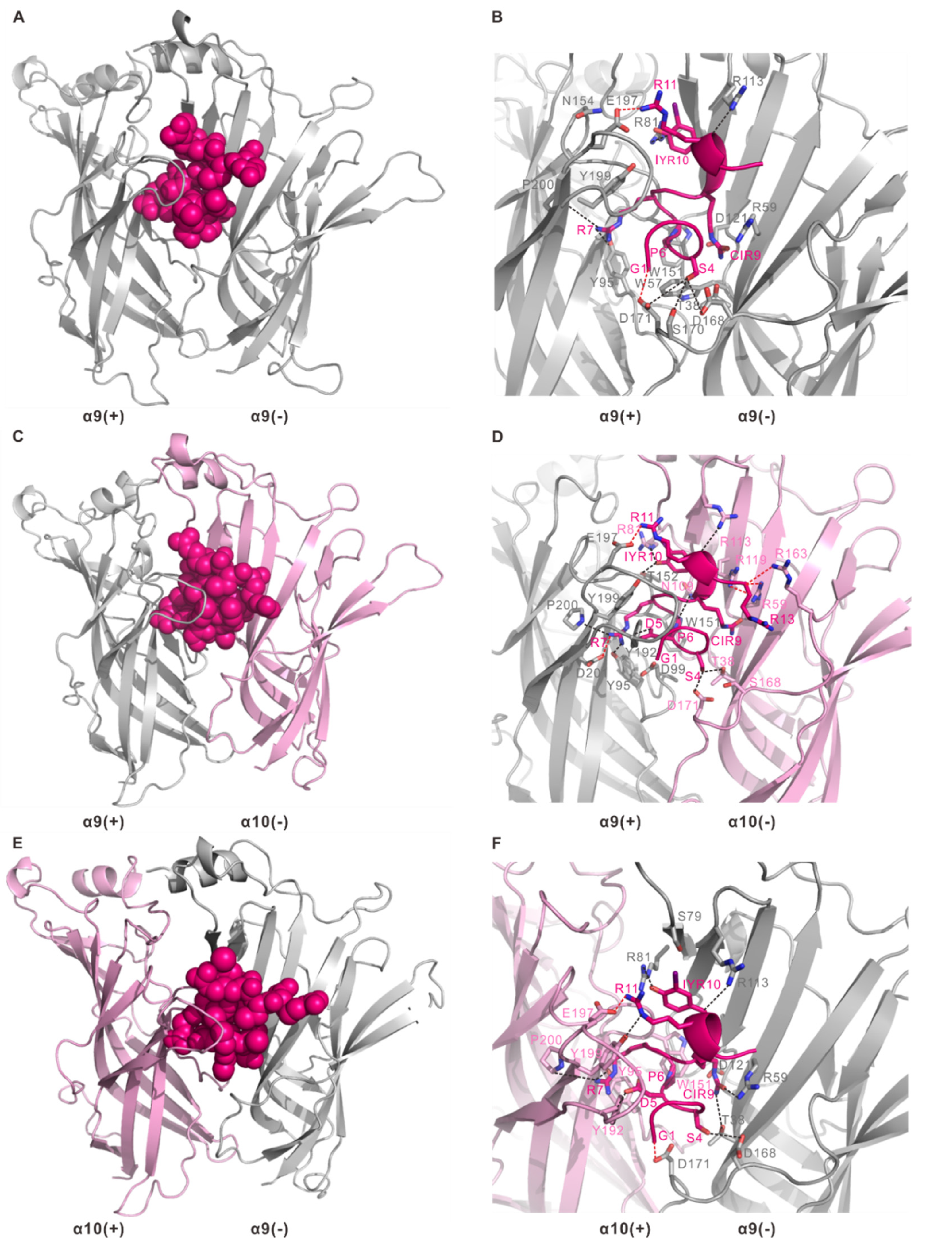 Marinedrugs 19 00709 g004