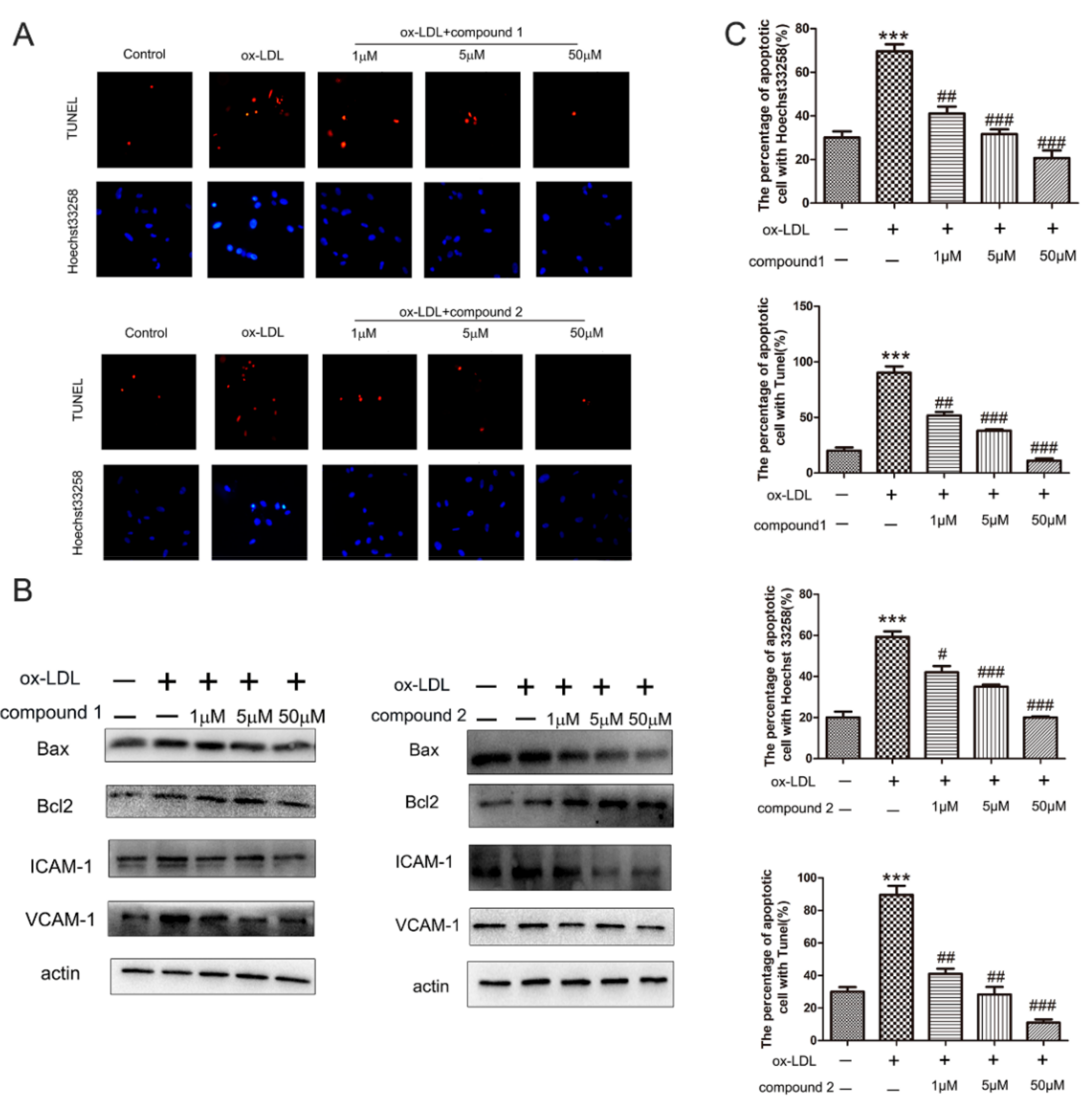 Marinedrugs 19 00712 g002