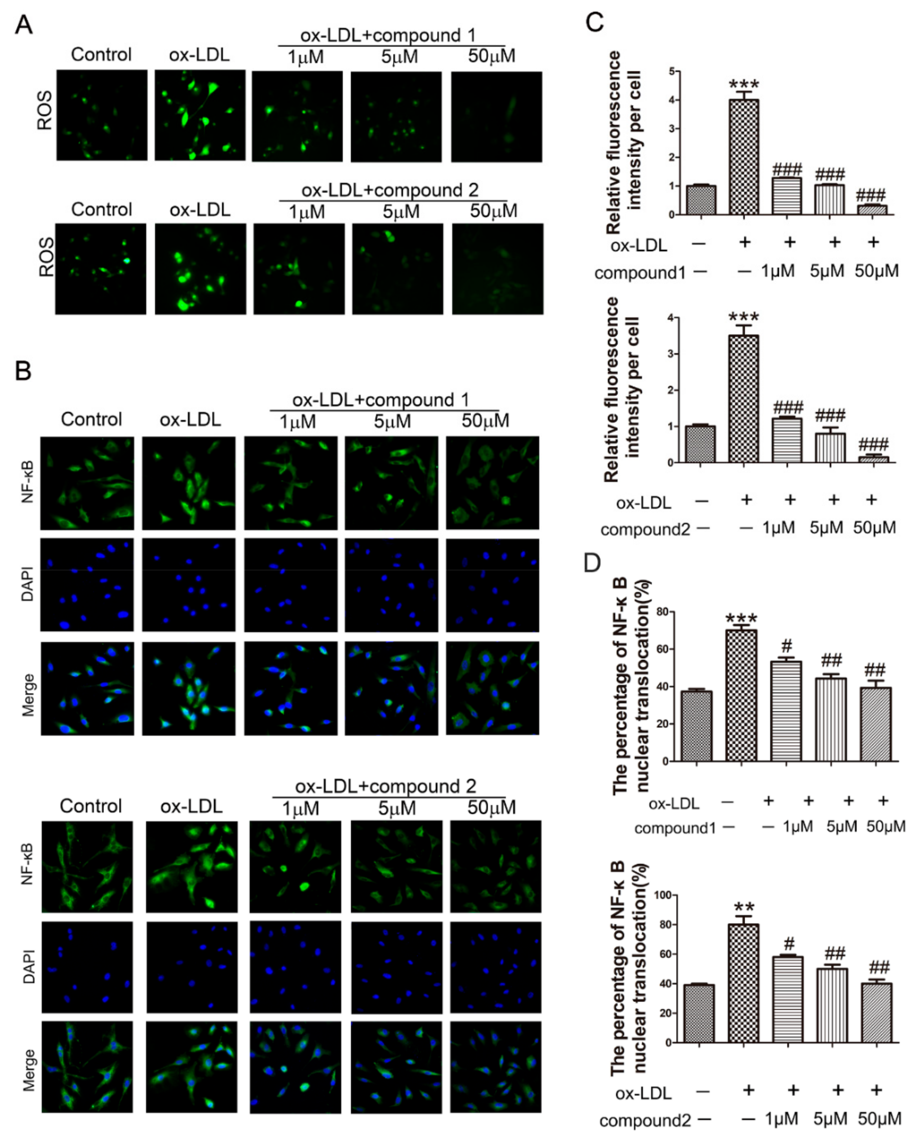 Marinedrugs 19 00712 g003