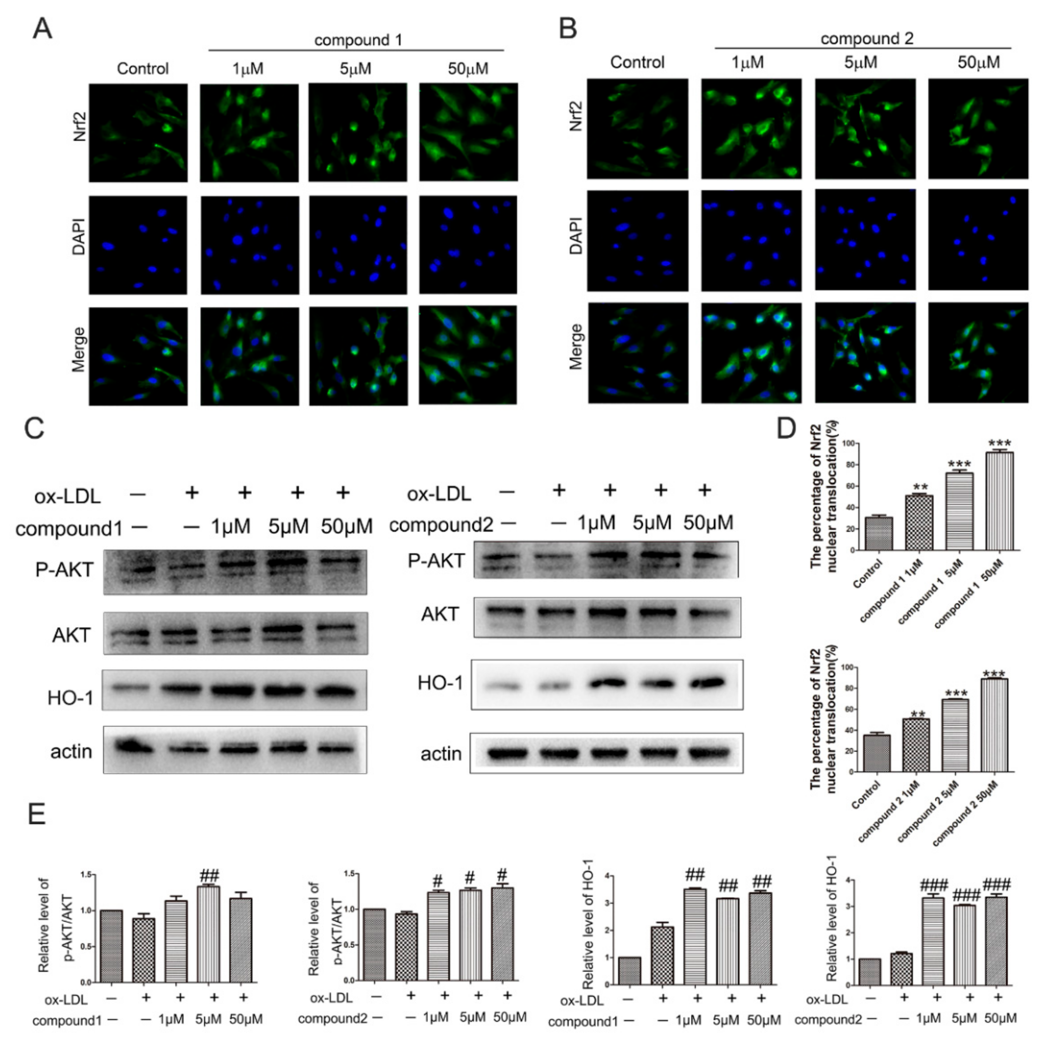 Marinedrugs 19 00712 g004