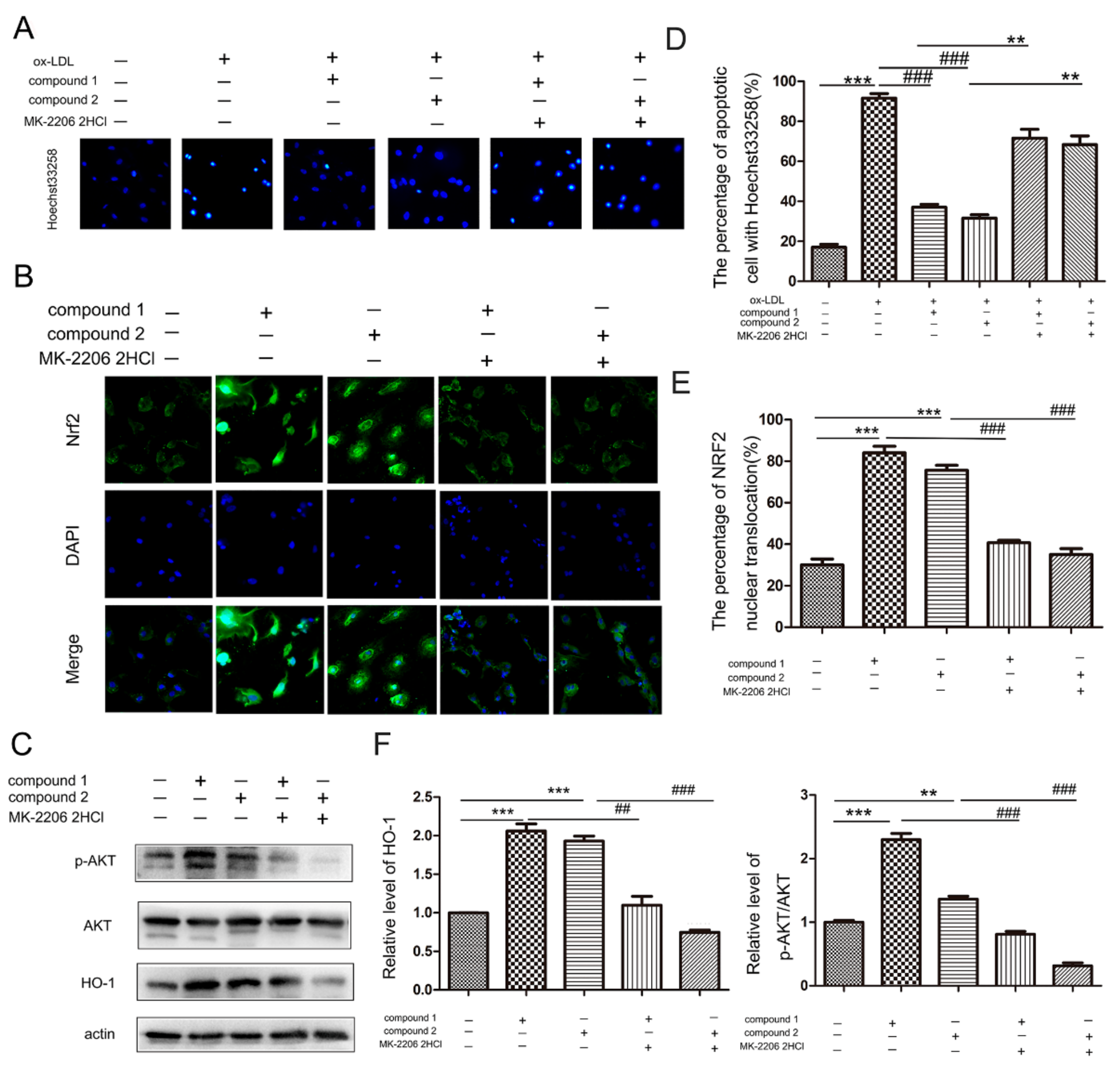 Marinedrugs 19 00712 g005