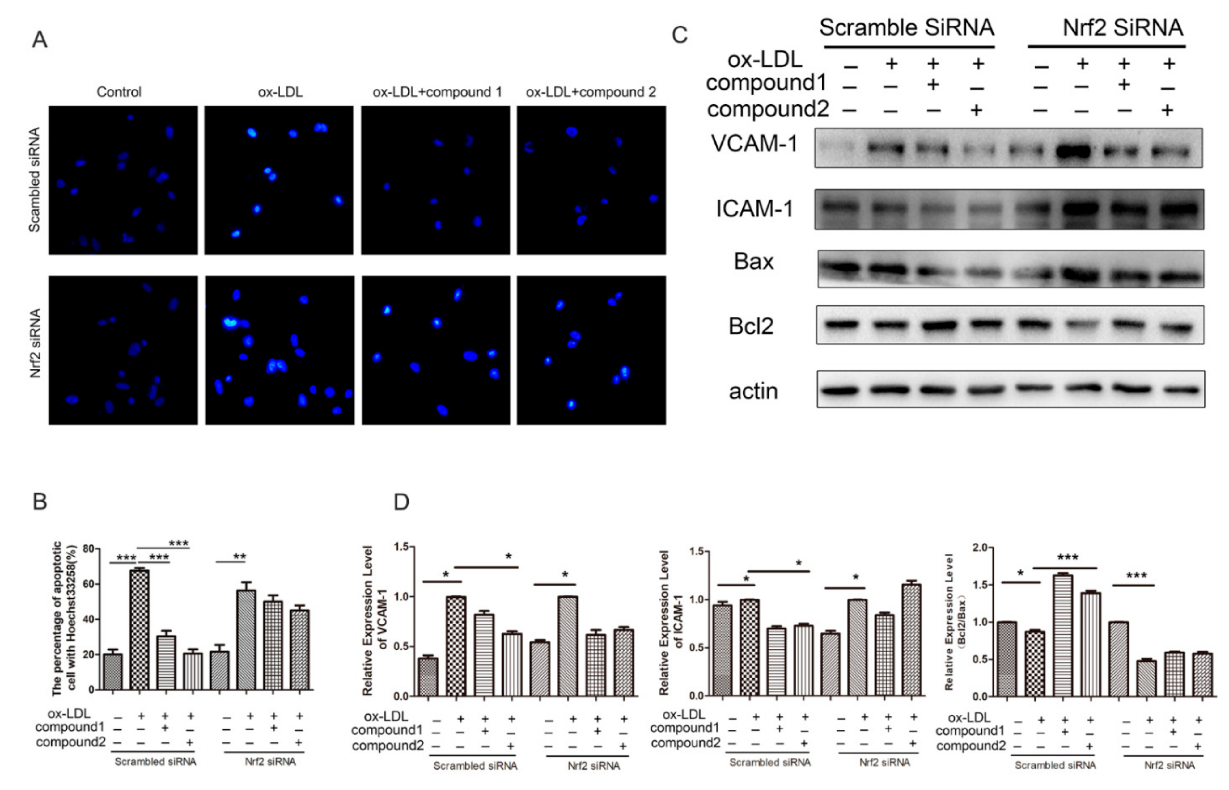 Marinedrugs 19 00712 g006