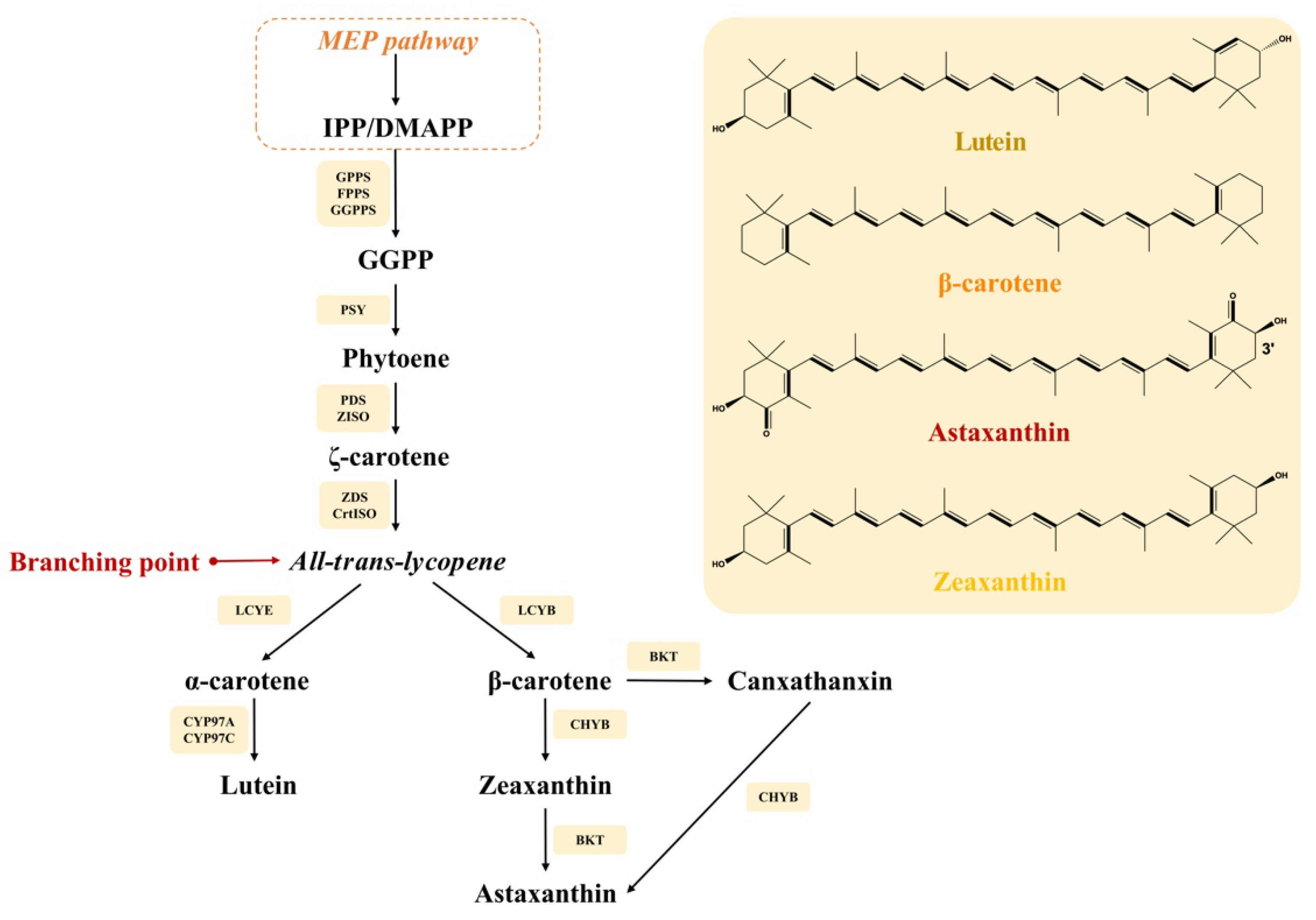 Marinedrugs 19 00713 g001