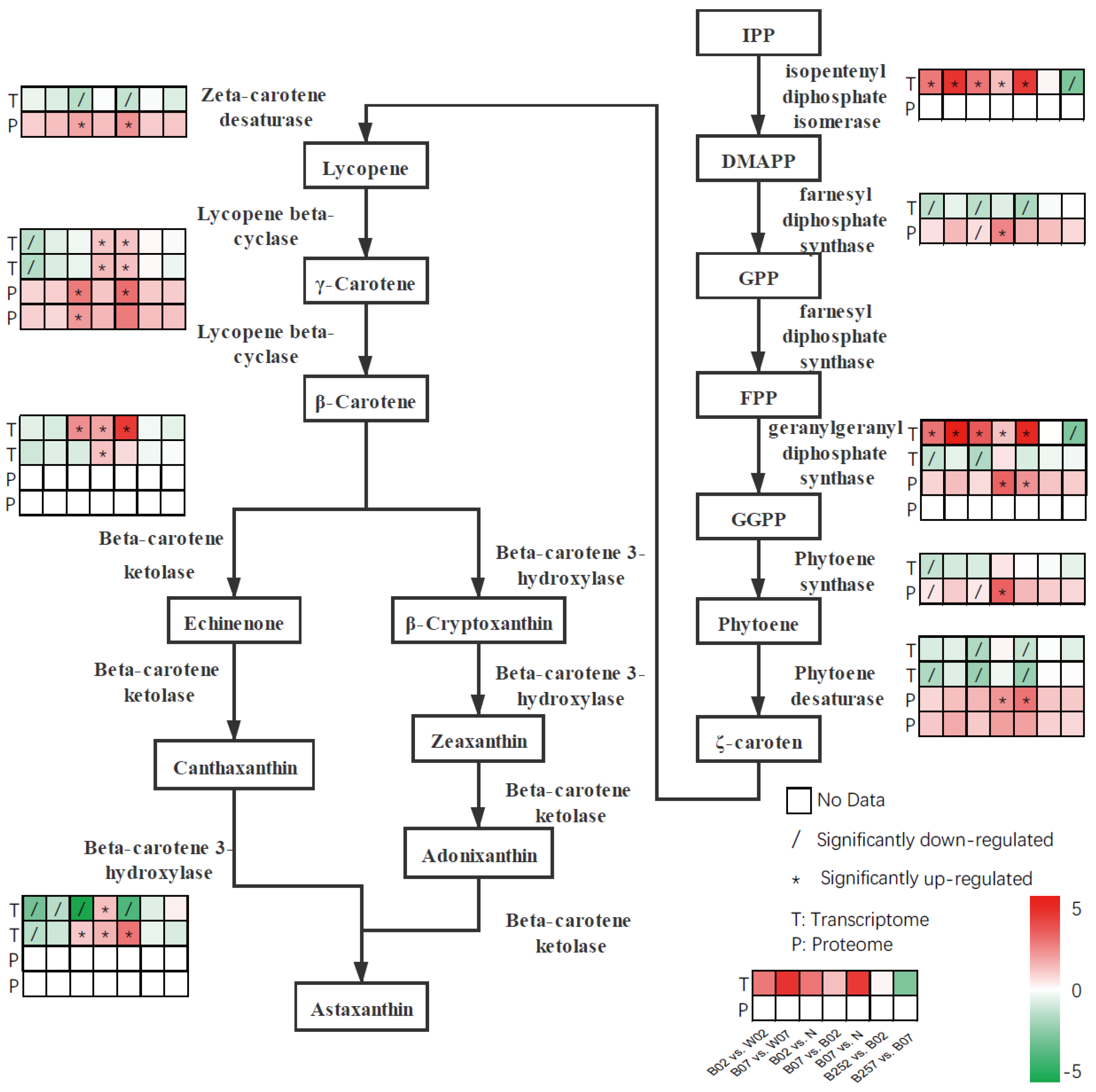 Marinedrugs 20 00001 g003 Marinedrugs 20 00001 g003
