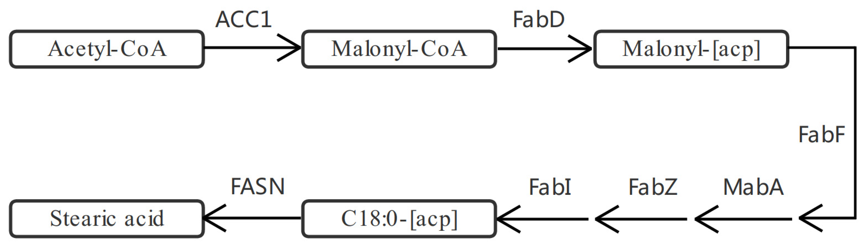 Marinedrugs 20 00001 g005 Marinedrugs 20 00001 g005