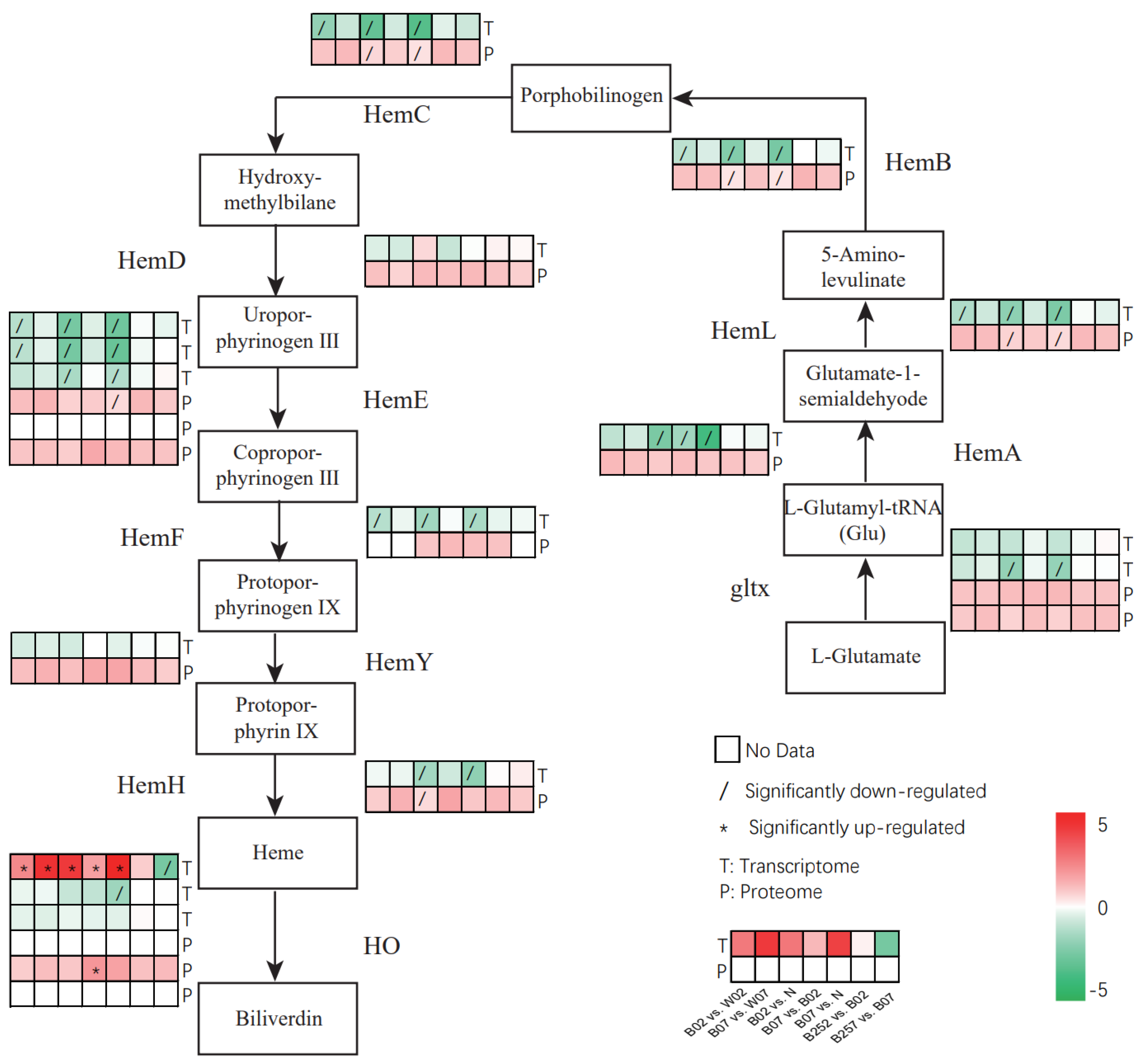 Marinedrugs 20 00001 g008 Marinedrugs 20 00001 g008