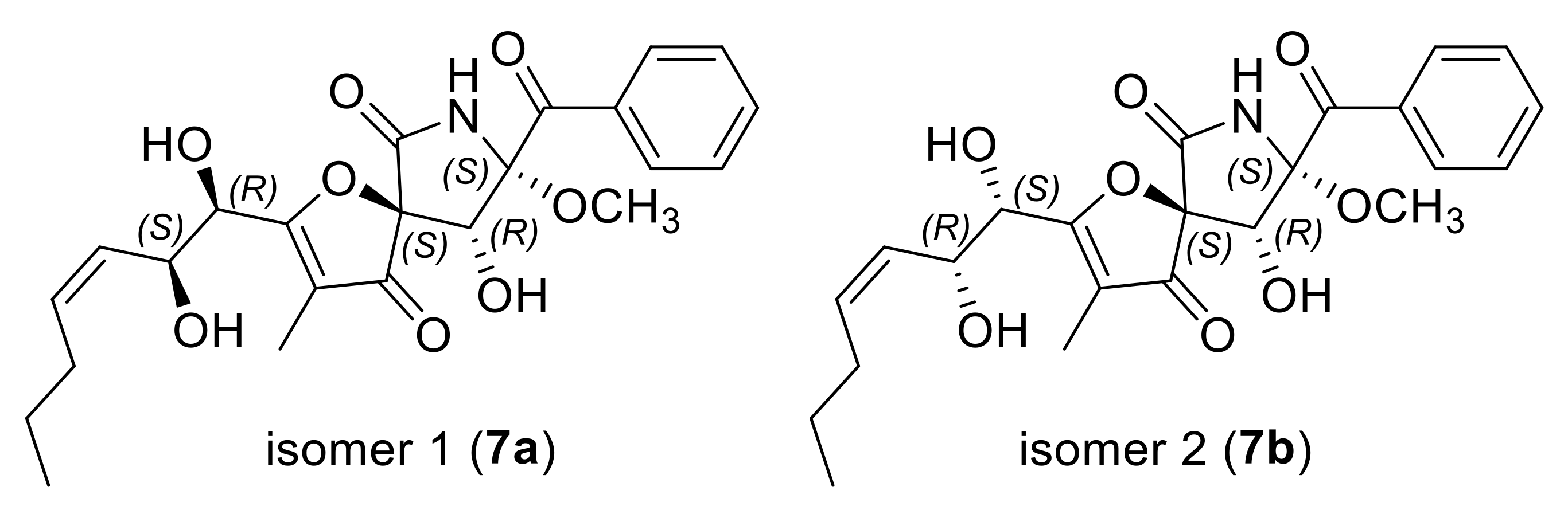 Marinedrugs 20 00004 g008