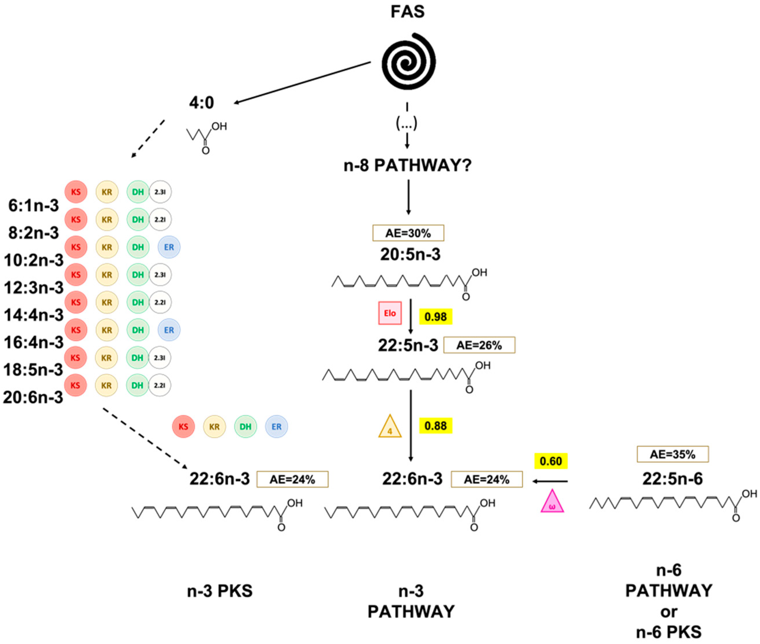 Marinedrugs 20 00022 g010 Marinedrugs 20 00022 g010