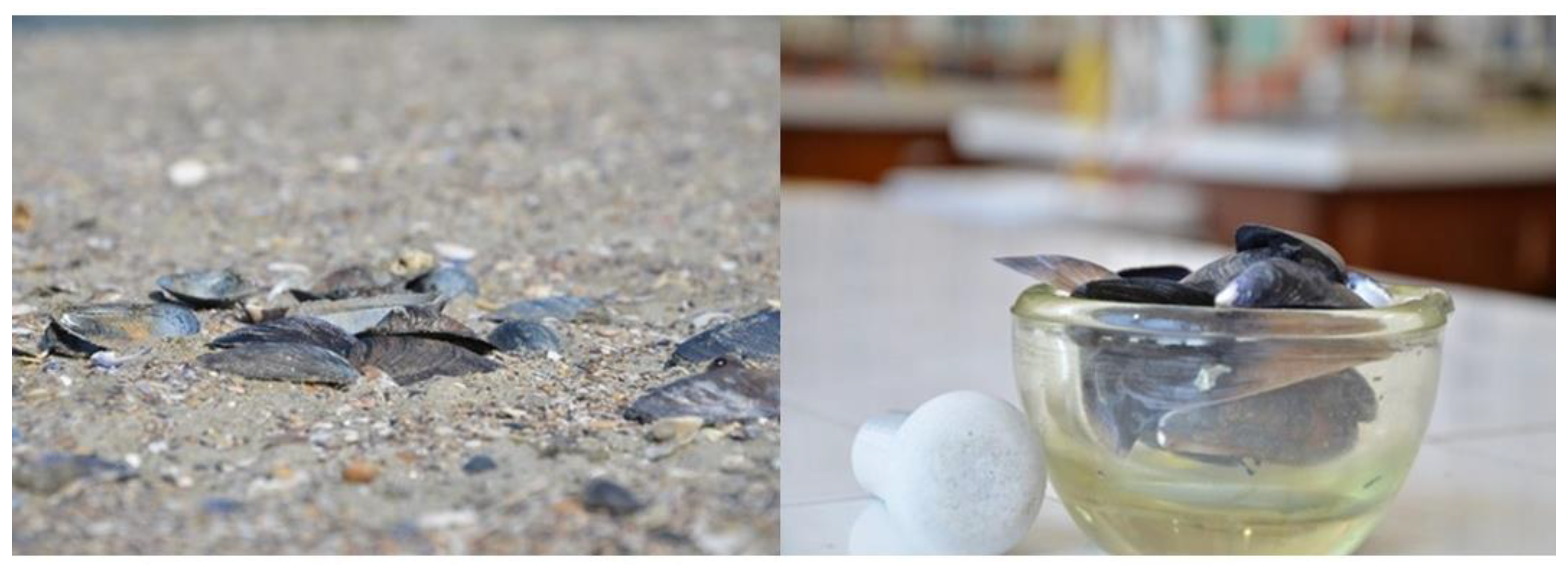 Marinedrugs 20 00025 g002 550