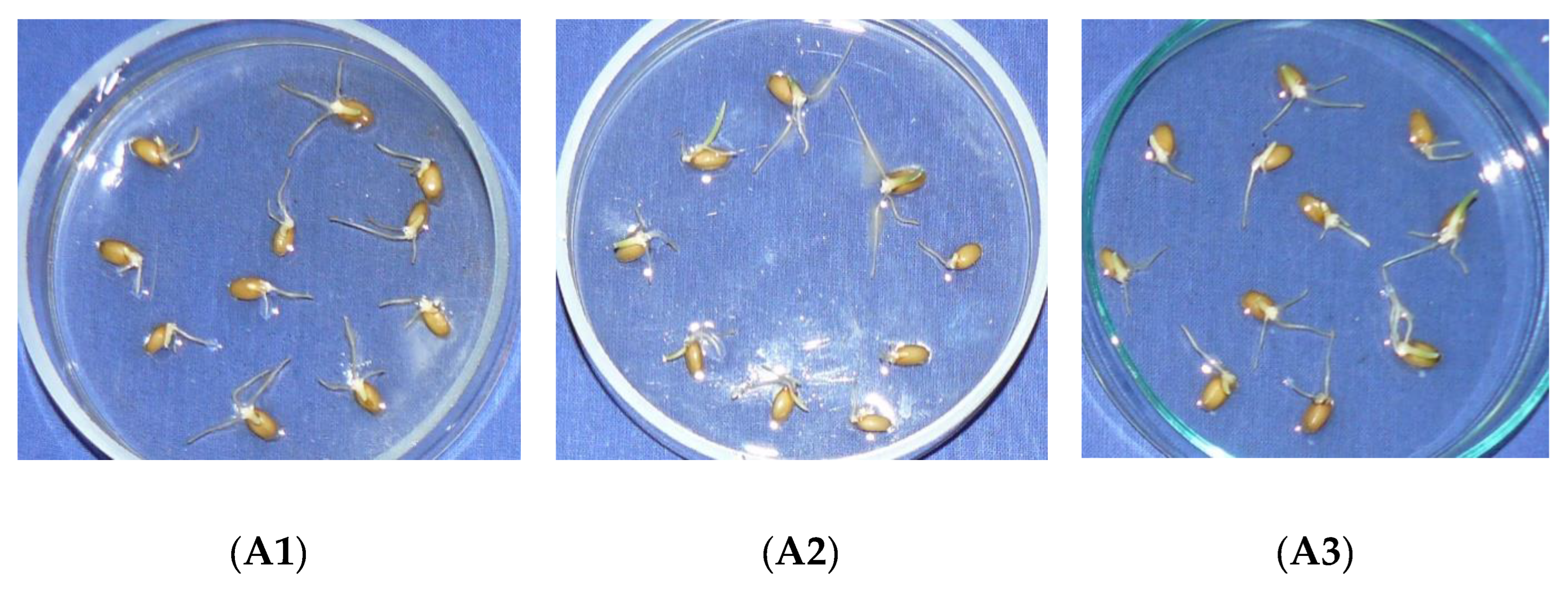 Marinedrugs 20 00025 g005a 550