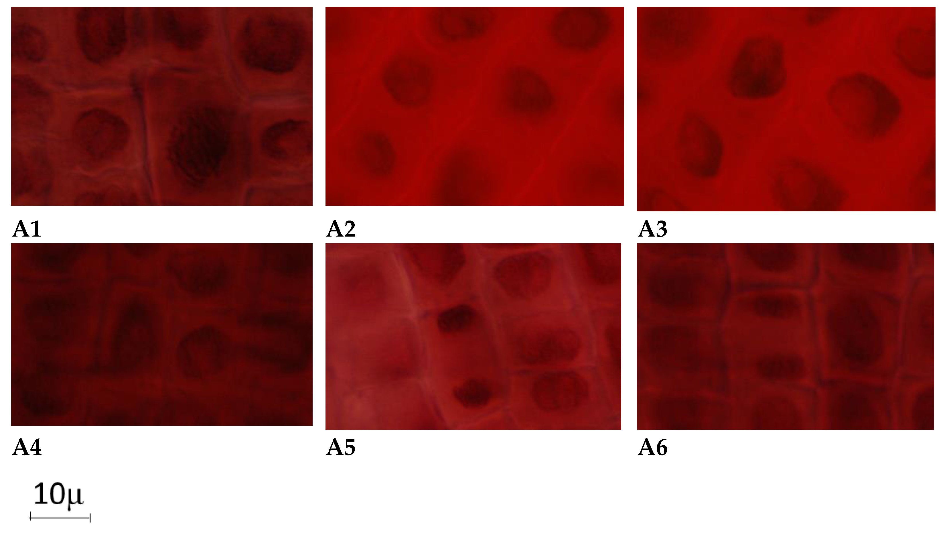 Marinedrugs 20 00025 g006 550