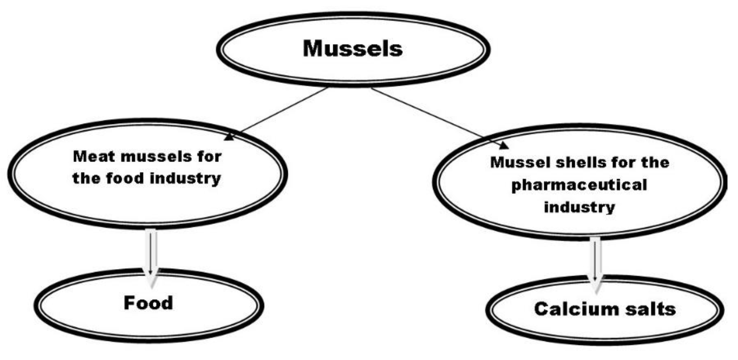 Marinedrugs 20 00025 g009 550