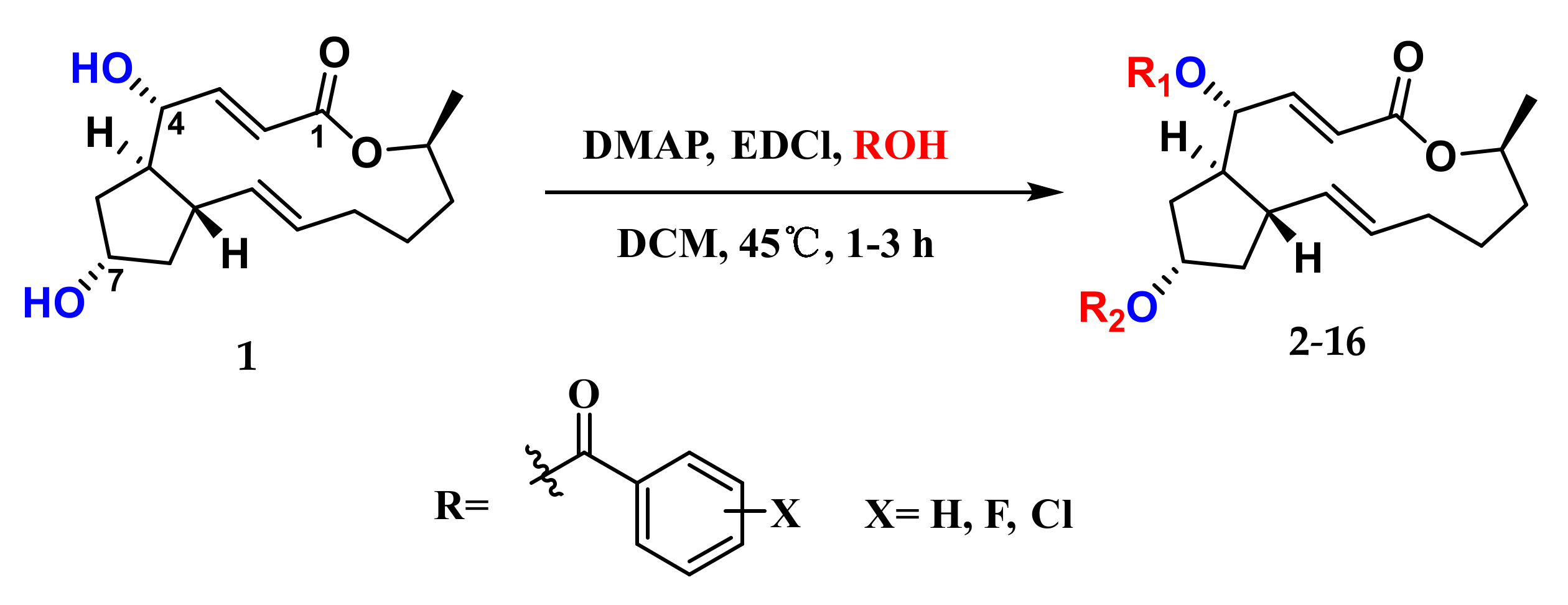 Marinedrugs 20 00026 g001 Marinedrugs 20 00026 g001