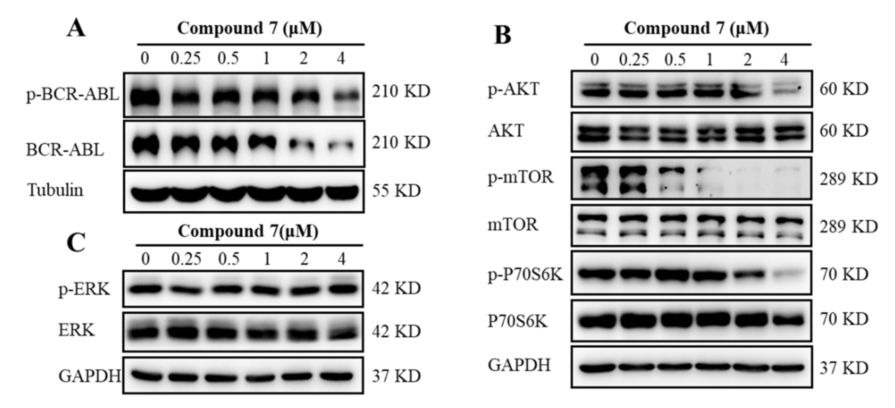 Marinedrugs 20 00026 g006 Marinedrugs 20 00026 g006