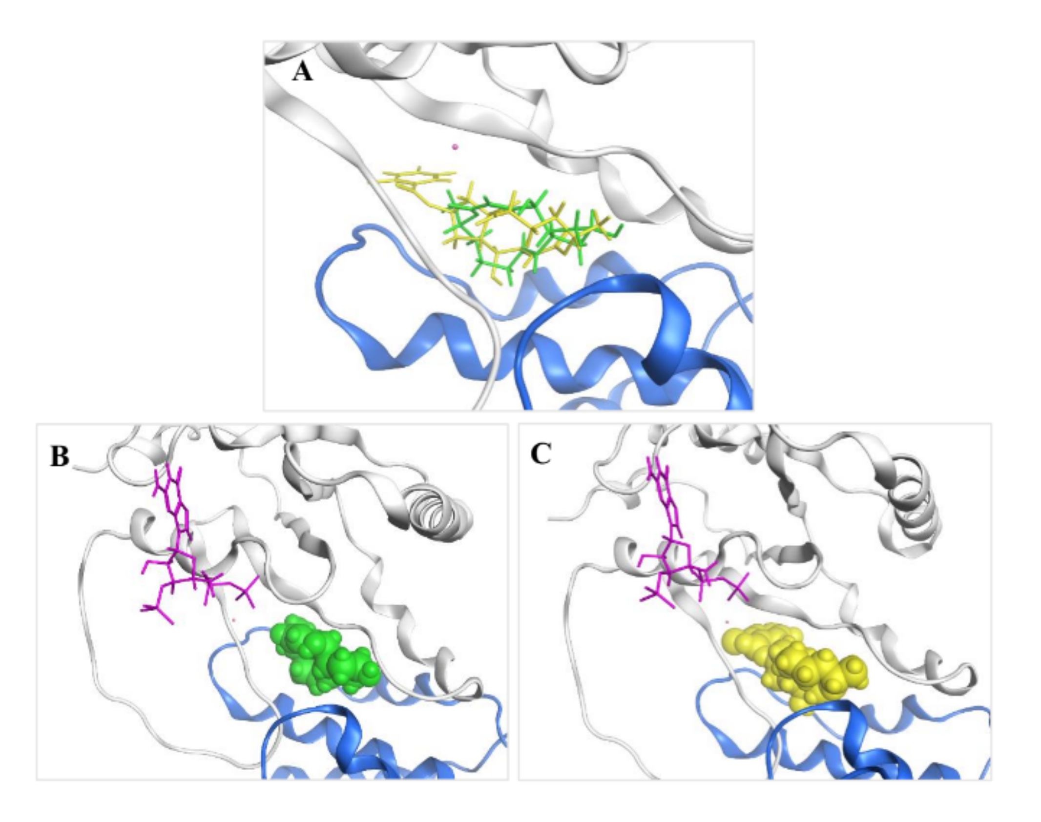 Marinedrugs 20 00026 g007 Marinedrugs 20 00026 g007