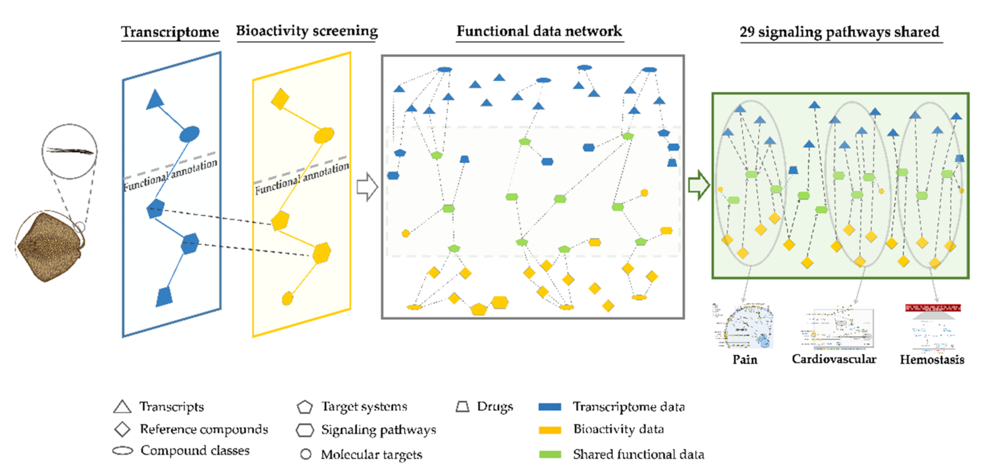 Marinedrugs 20 00027 g001