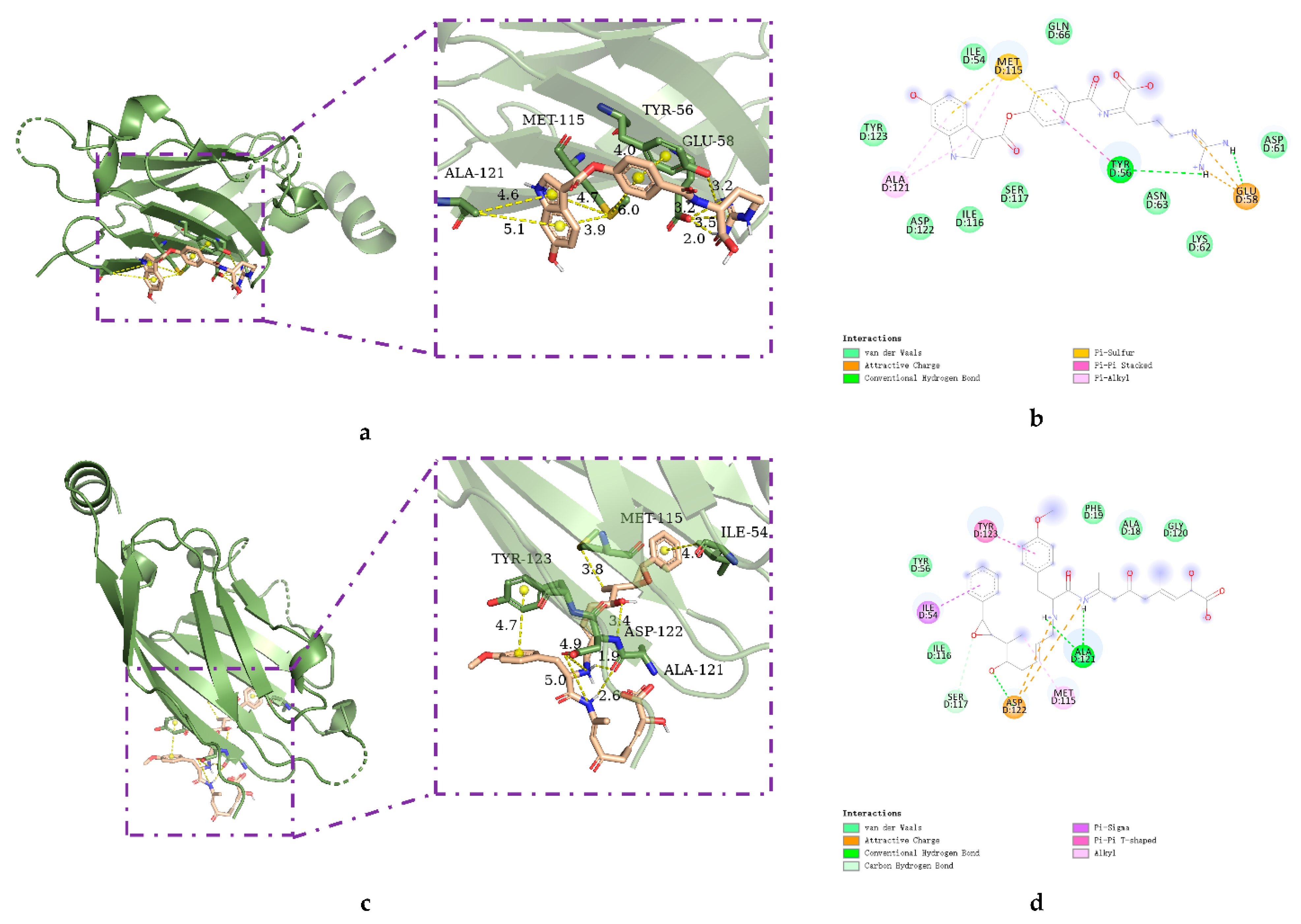 Marinedrugs 20 00029 g004