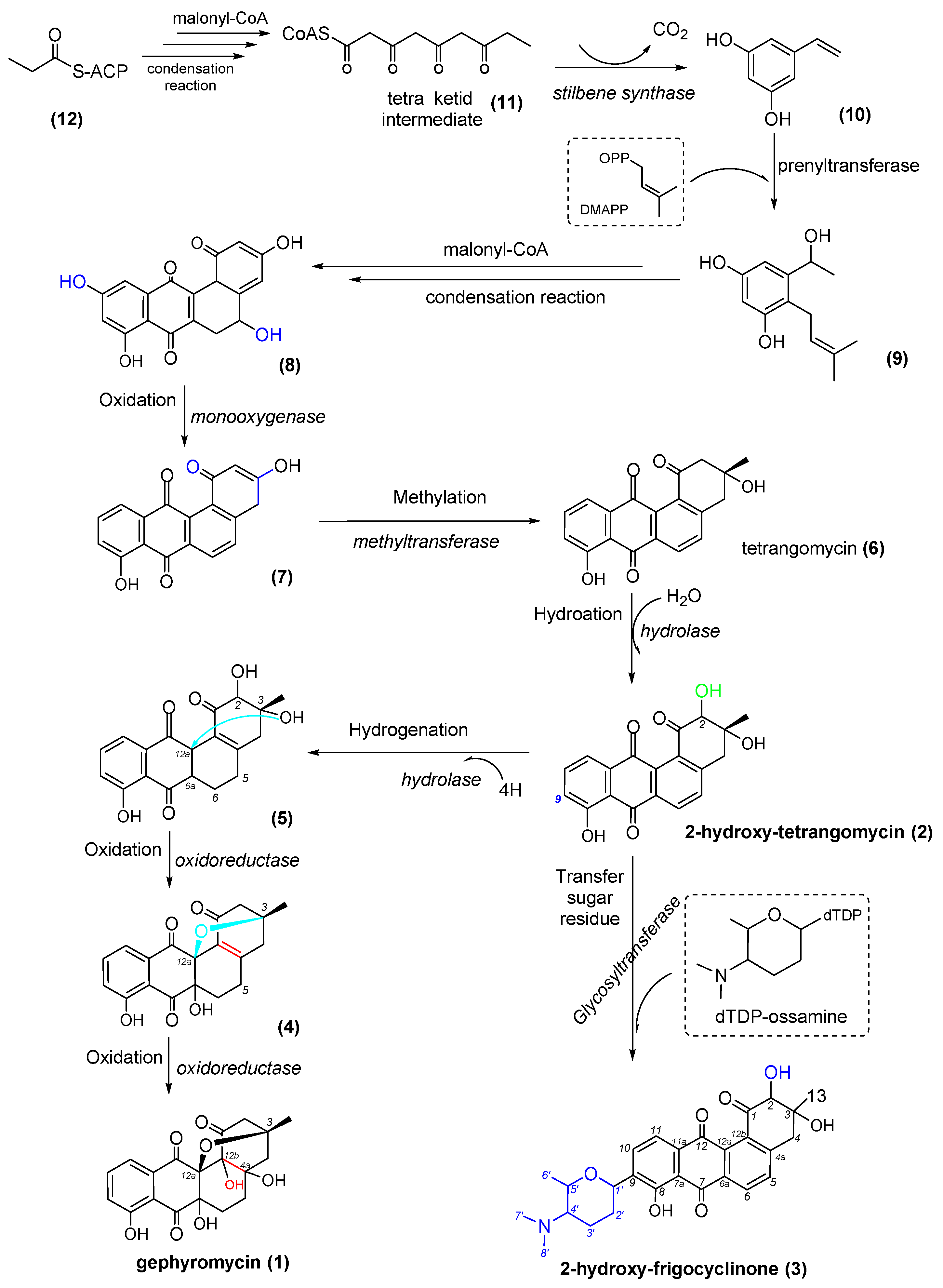 Marinedrugs 20 00034 g006