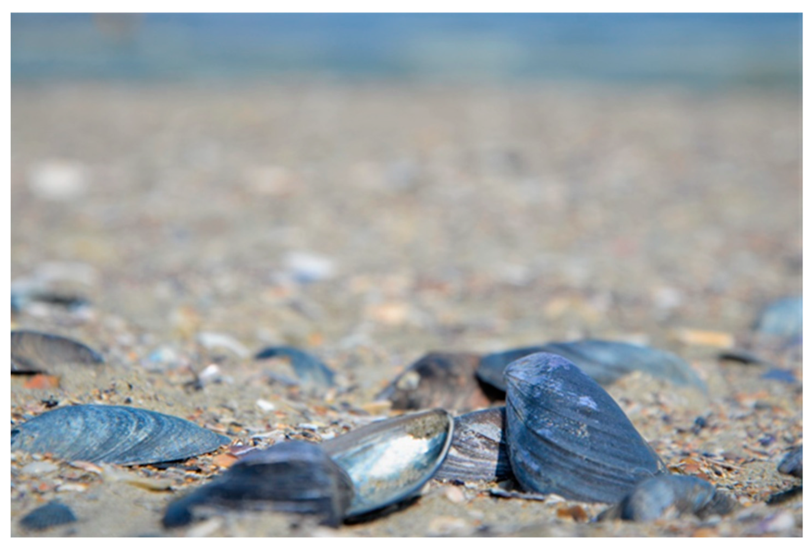 Marinedrugs 20 00045 g001