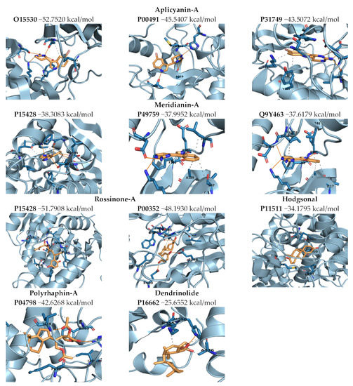 Computer-Aided Drug Design (CADD) to De-Orphanize Marine