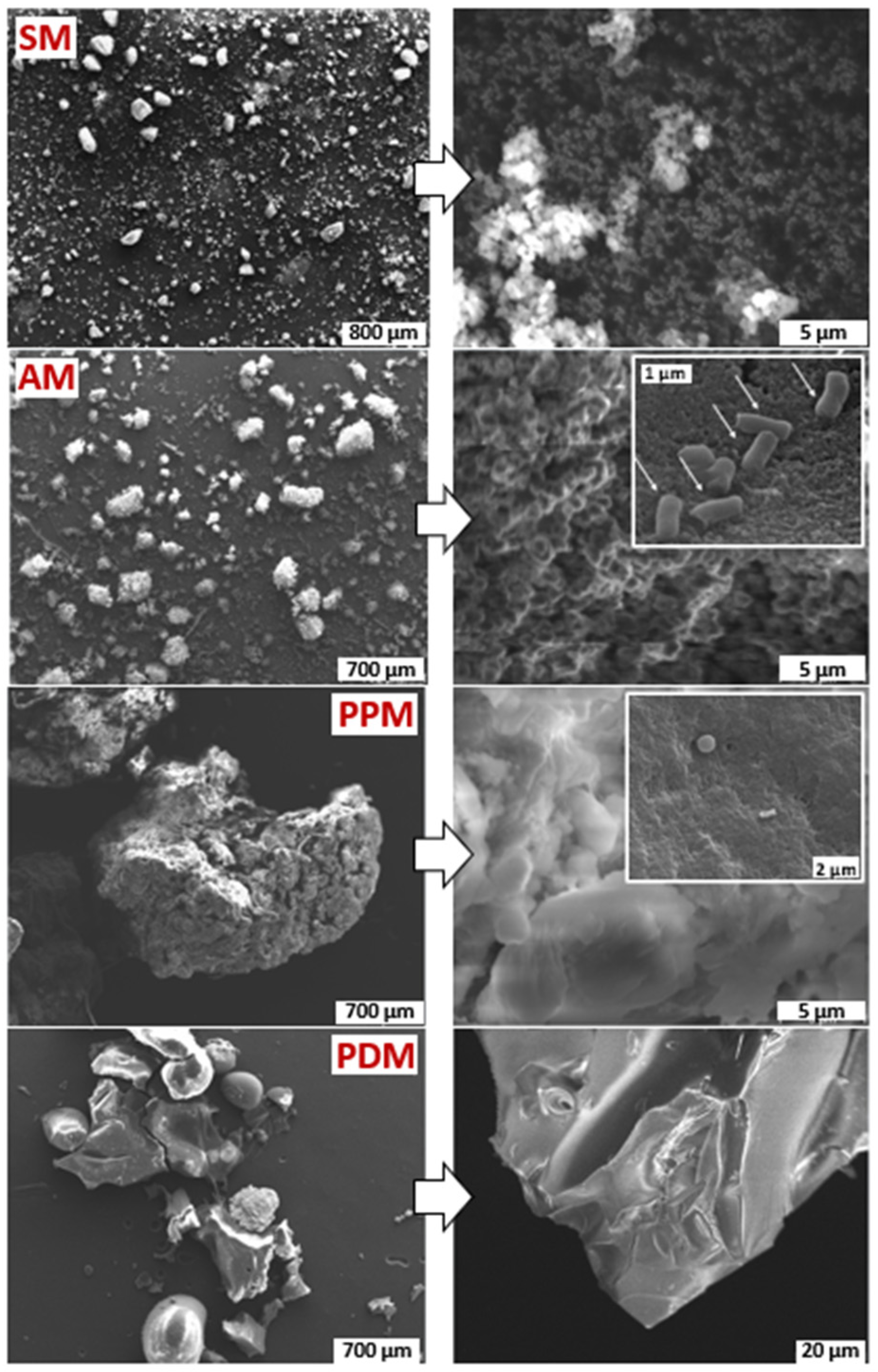 Marinedrugs 20 00054 g004 550