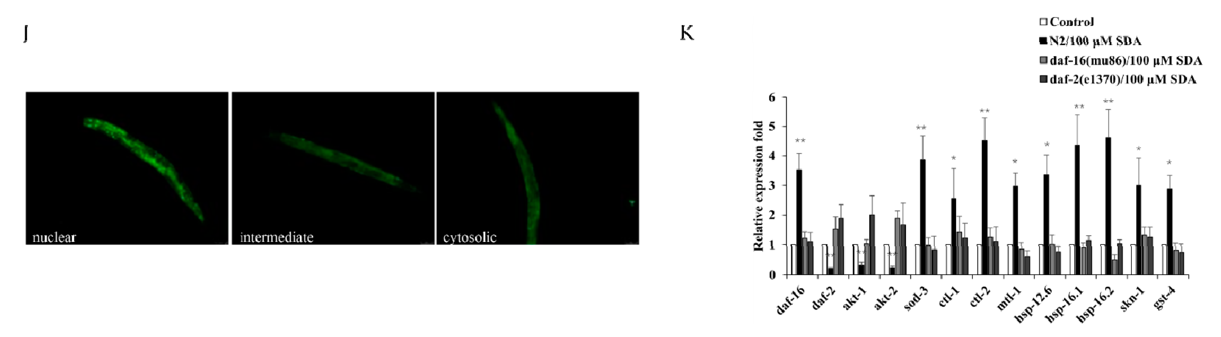 Marinedrugs 20 00059 g003b 550