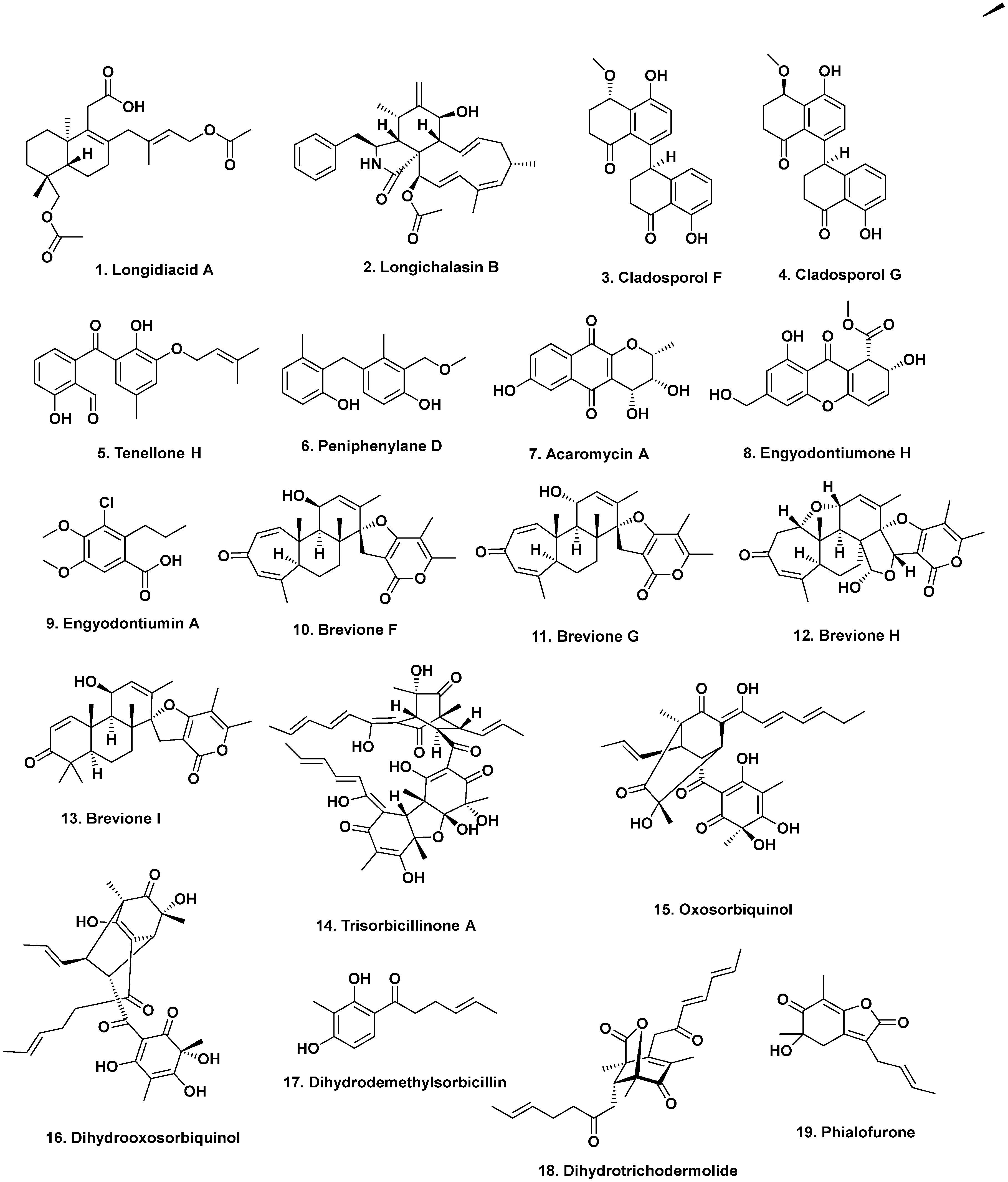 Marinedrugs 20 00062 g001