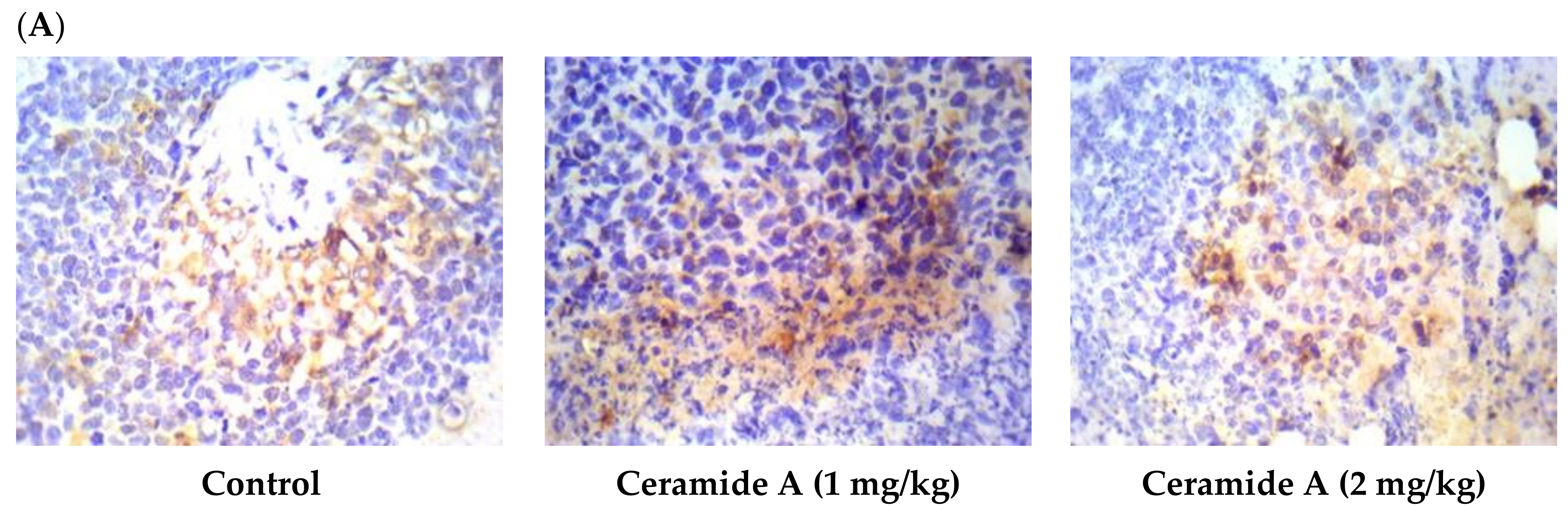 Marinedrugs 20 00063 g007a