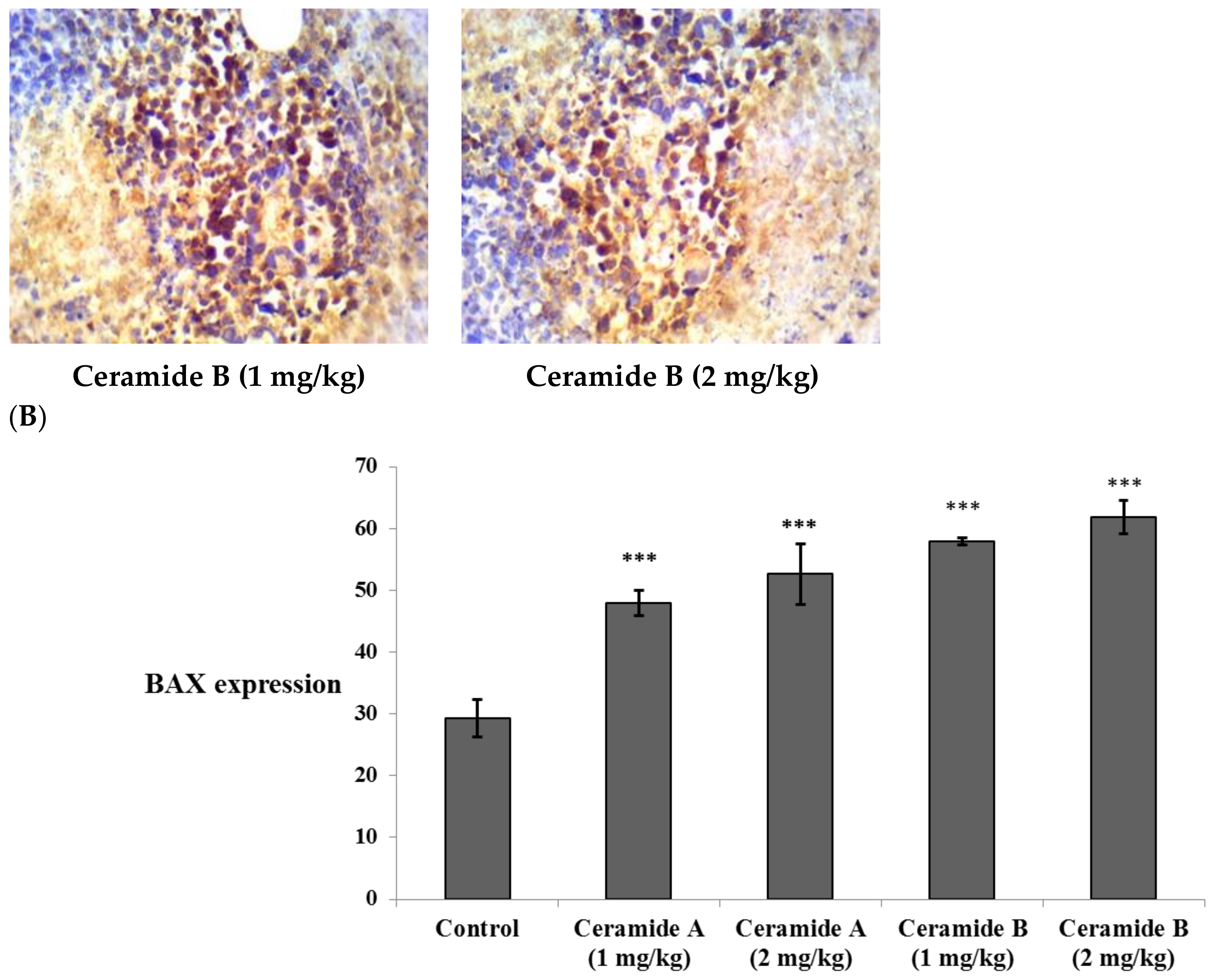Marinedrugs 20 00063 g007b