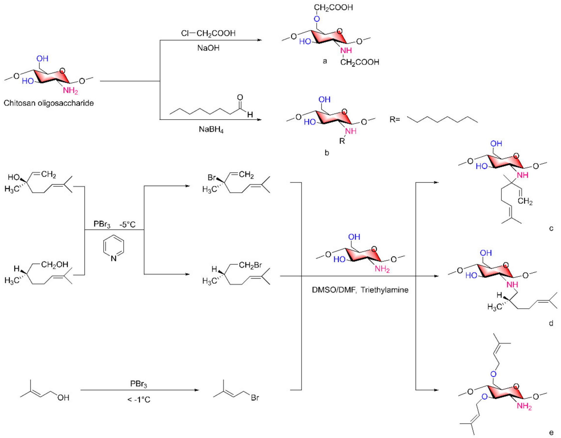 Marinedrugs 20 00069 g003