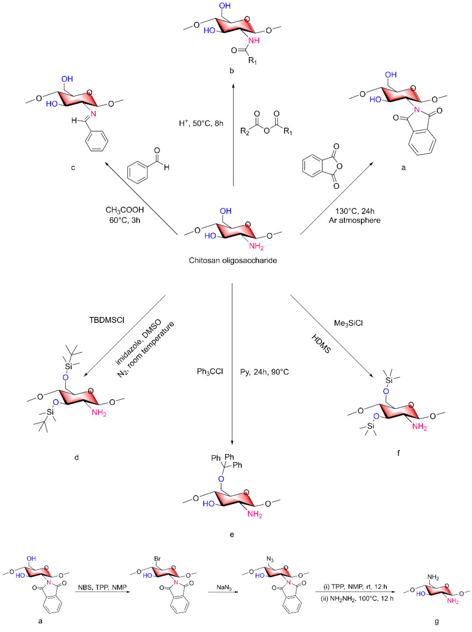 Marinedrugs 20 00069 g006