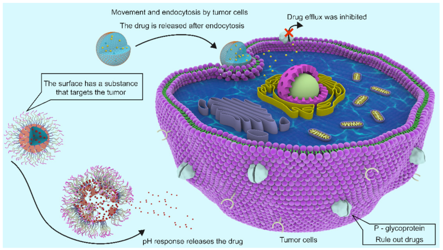 Marinedrugs 20 00069 g010