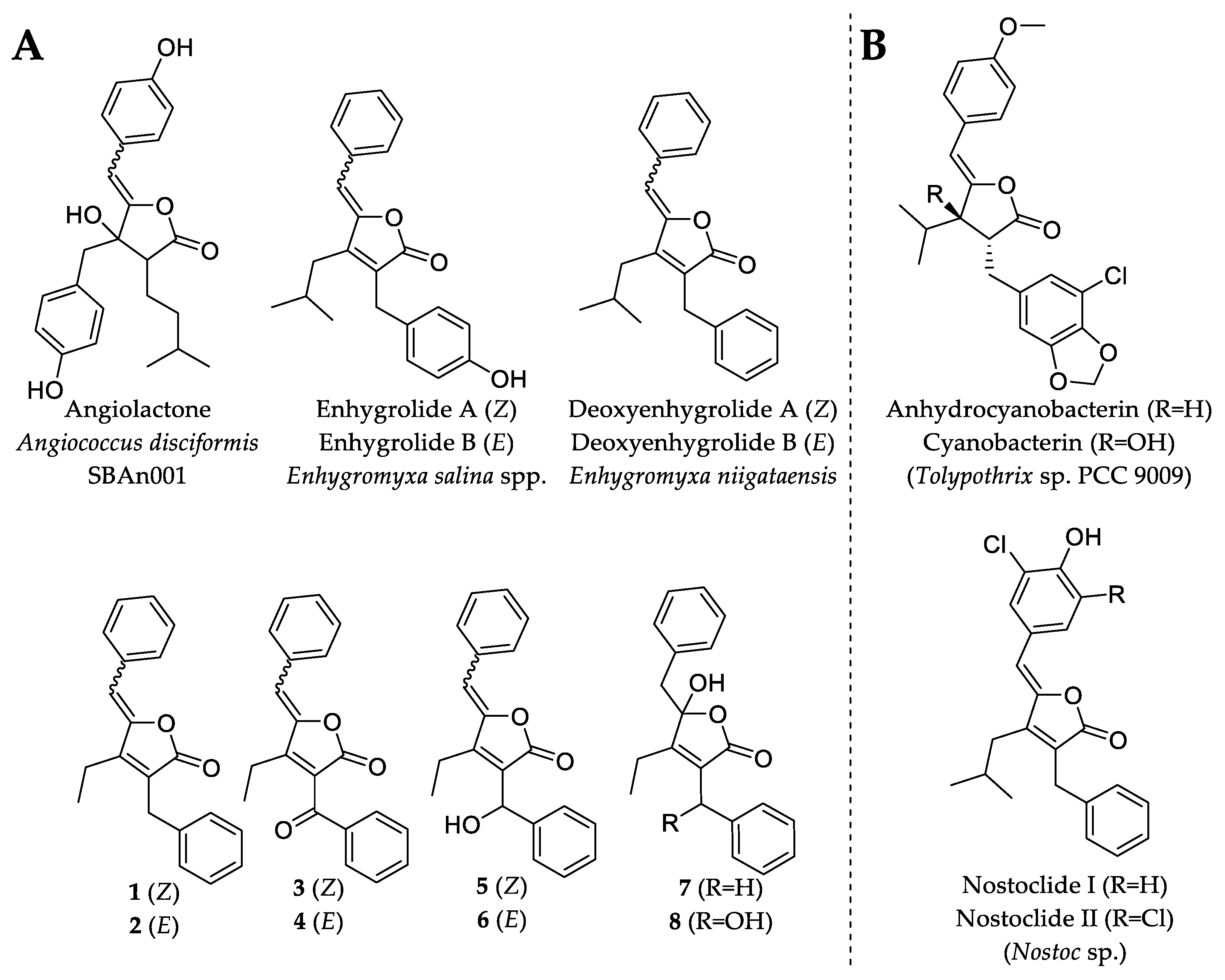 Marinedrugs 20 00072 g005